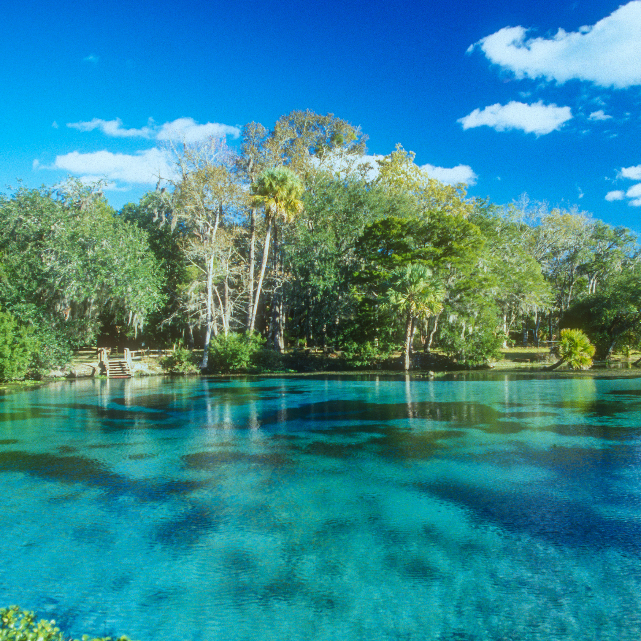 Florida Has More Than Beaches: What Buyers Don’t Know About Freshwater Springs