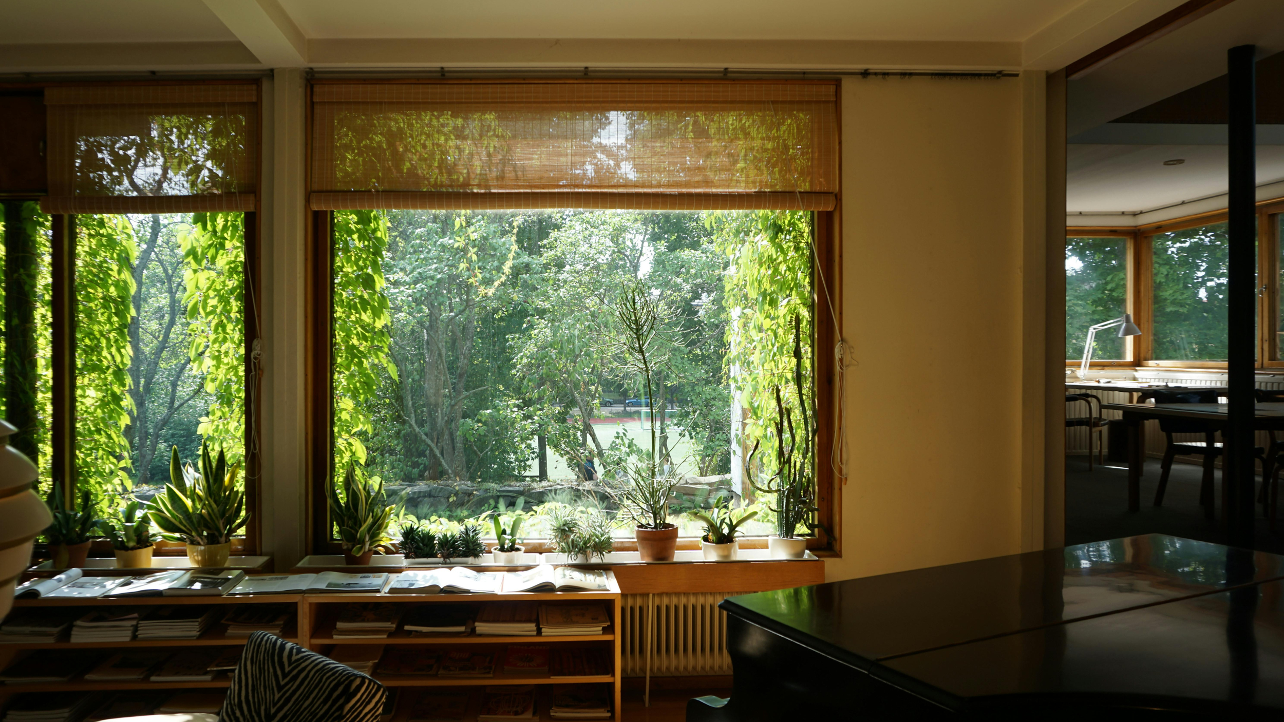 Sunlit interior space with a large window framing lush green trees, natural light filling the room, potted plants along the window, a bookshelf below, and a black grand piano nearby, illustrating how views and light influence emotional response and p