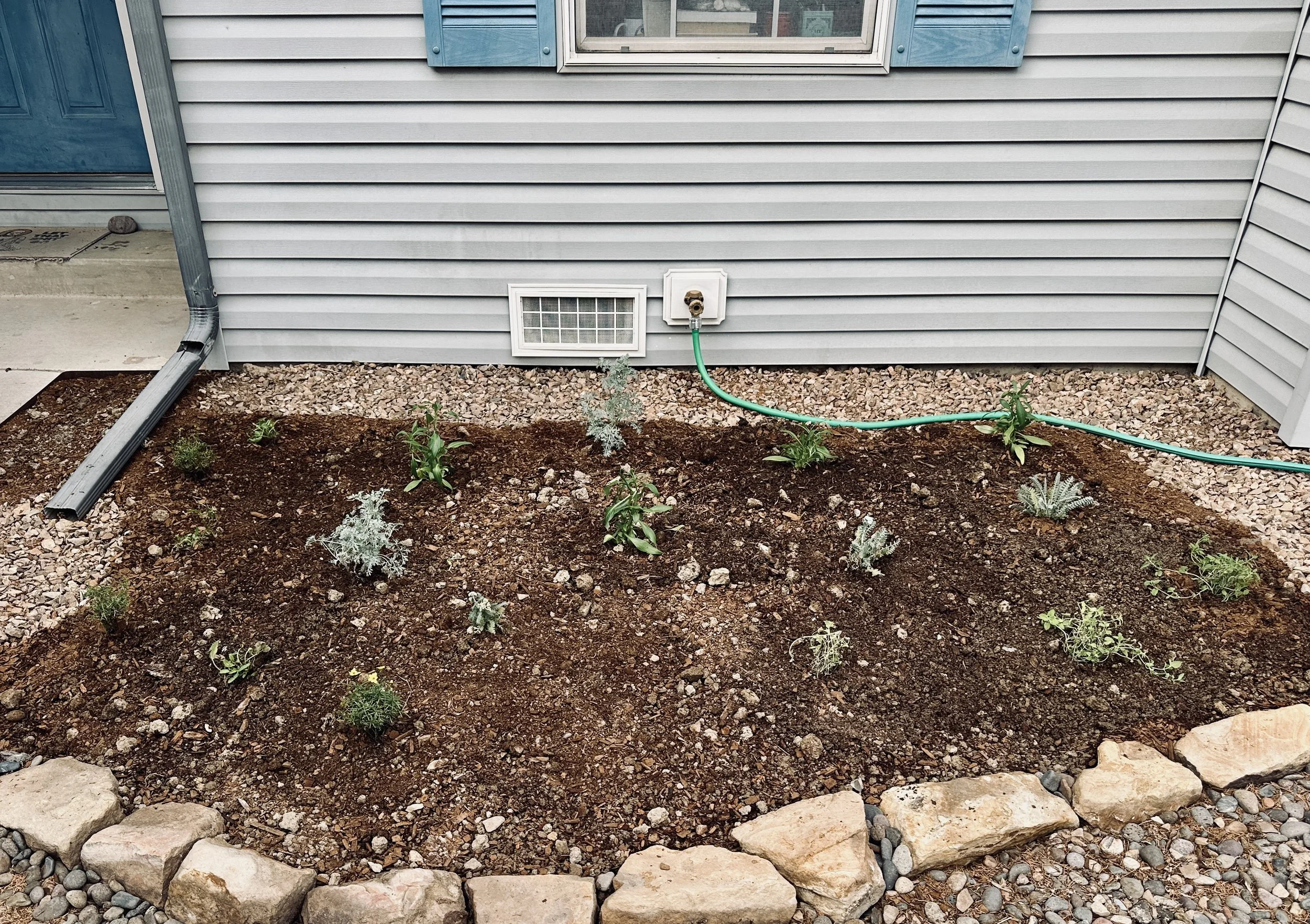 Newly planted native plant bed.