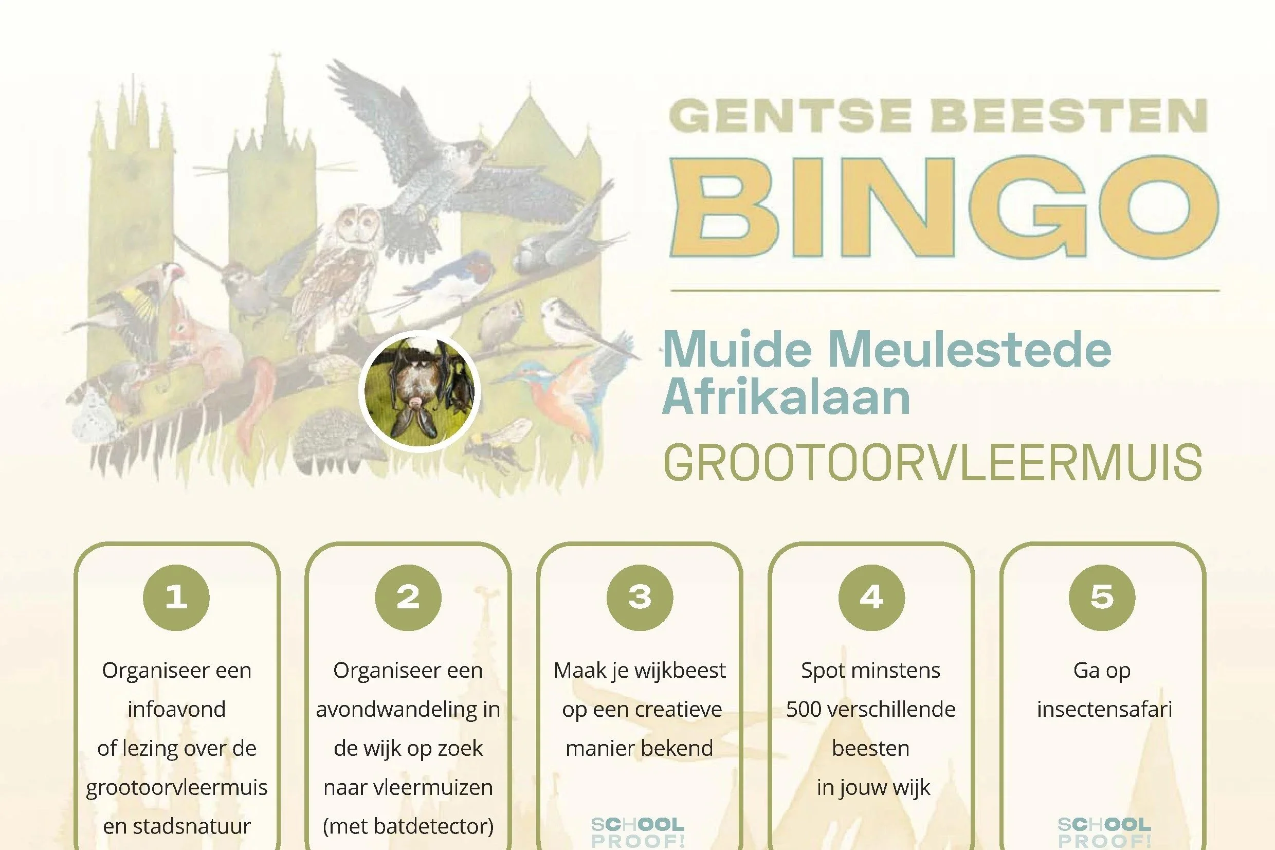 Muide-Meulestede-Afrikalaan