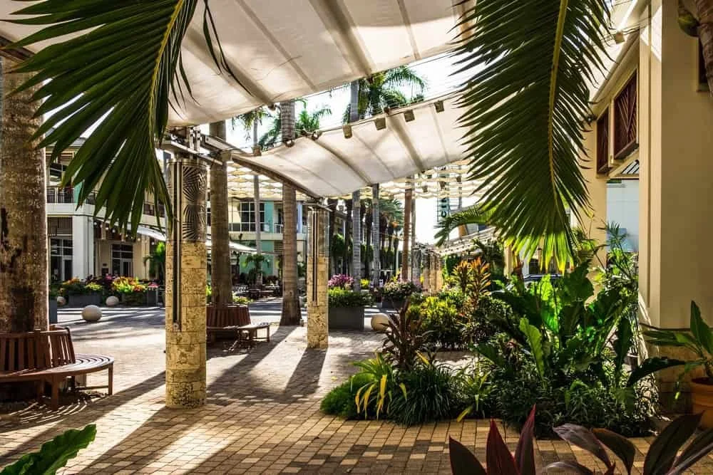 Camana-Bay-1.jpg