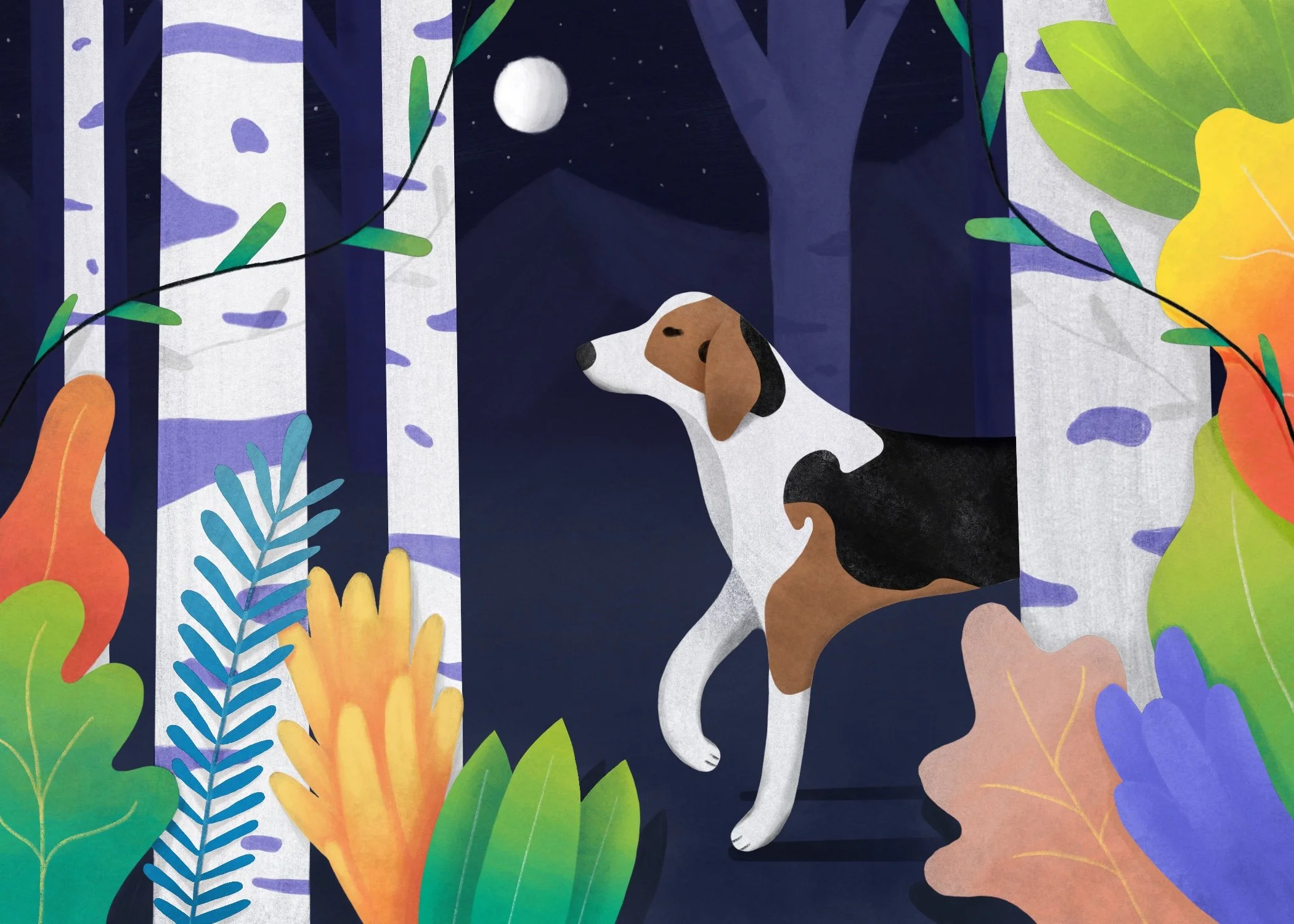 A Midnight Walk Illustration.jpg