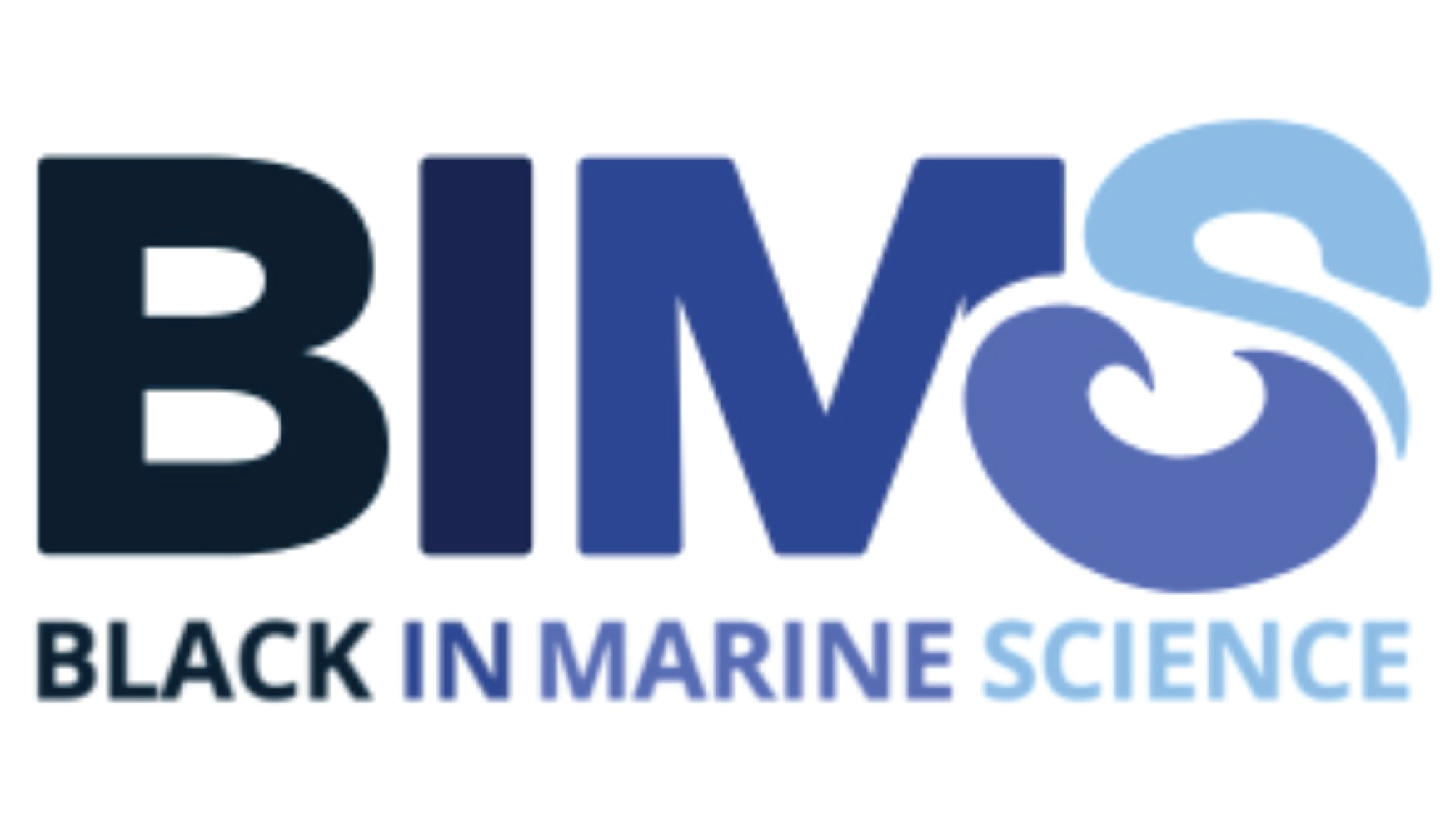 AffiliateLogos_Client-BIMS.png
