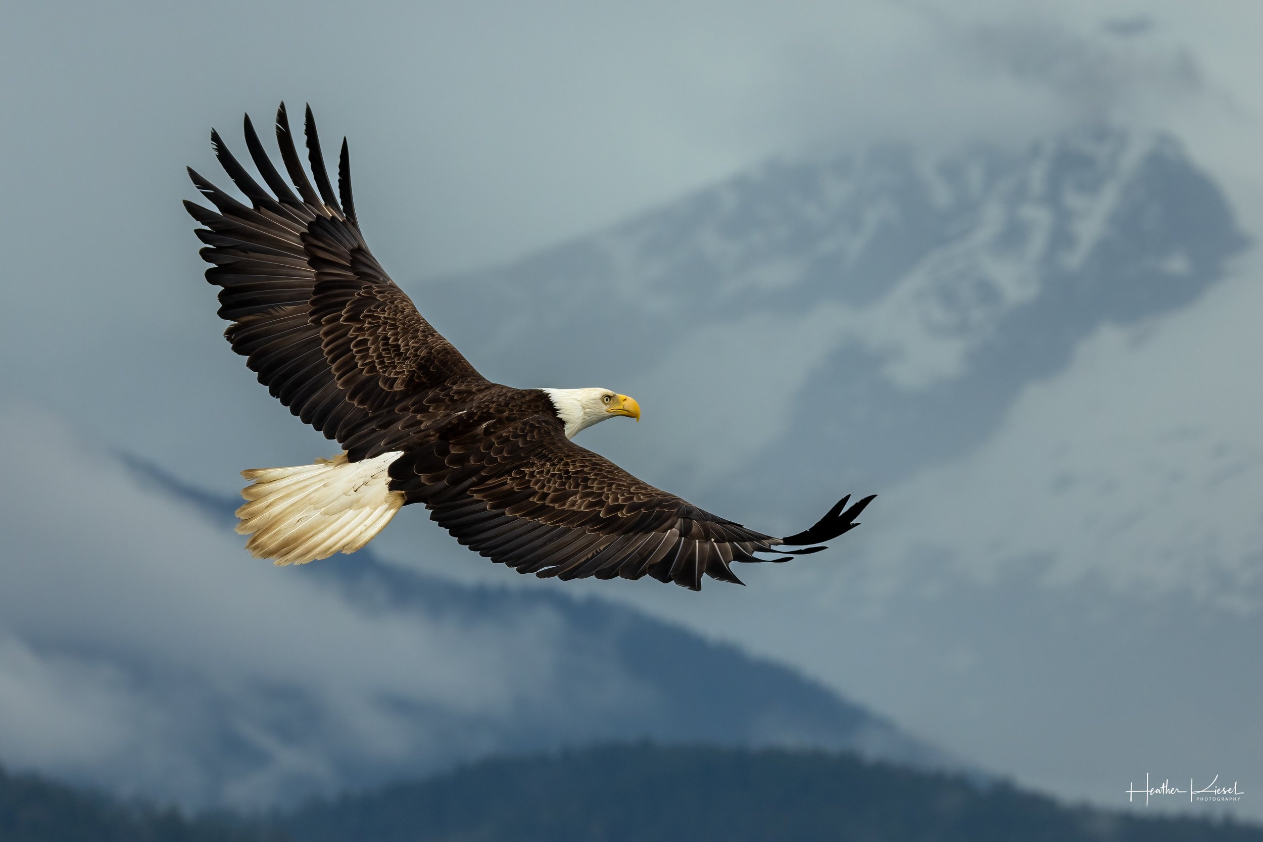 Sentinels of the Sky