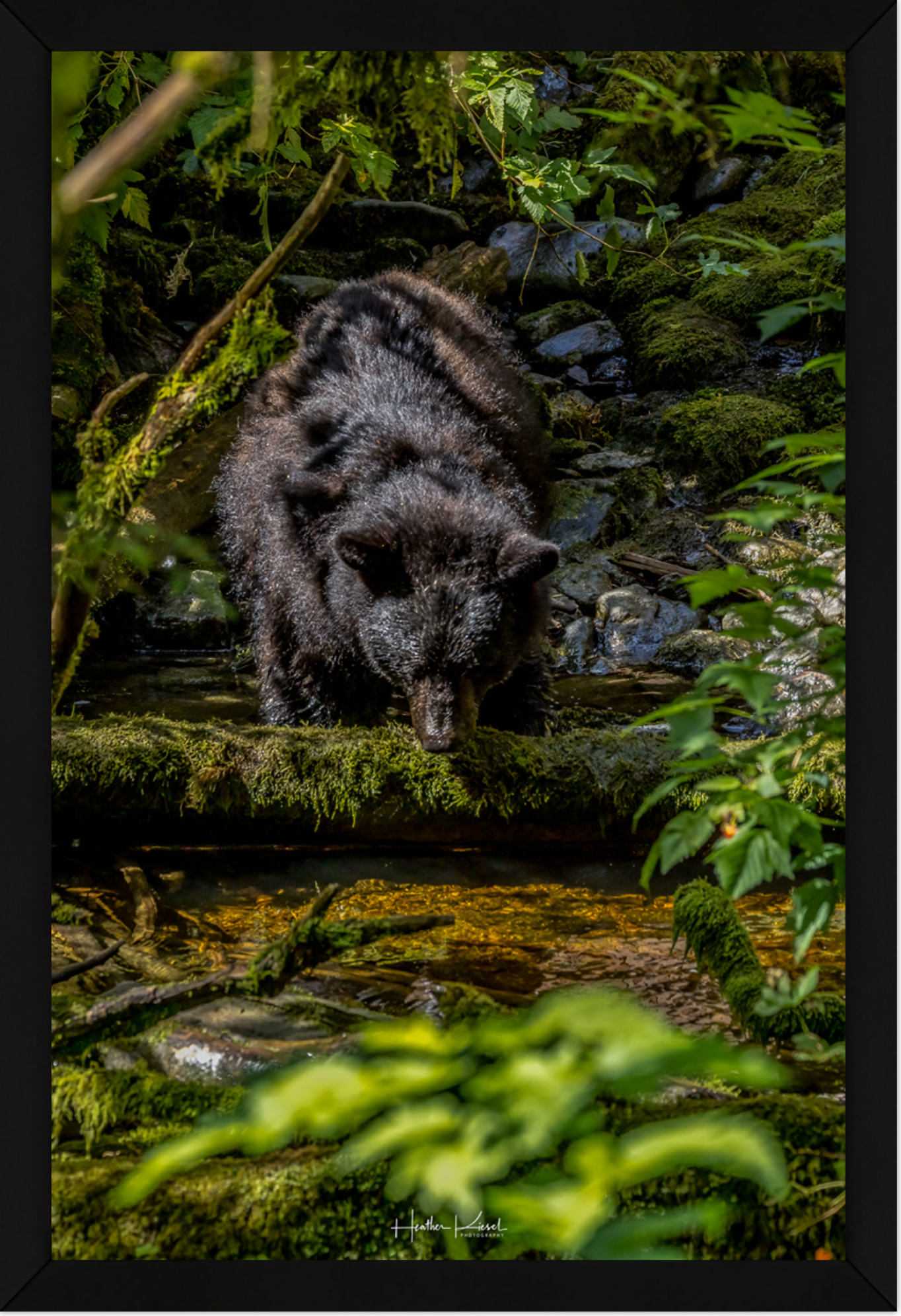 Screenshot 2026-03-19 at 8.24.39 AM.png