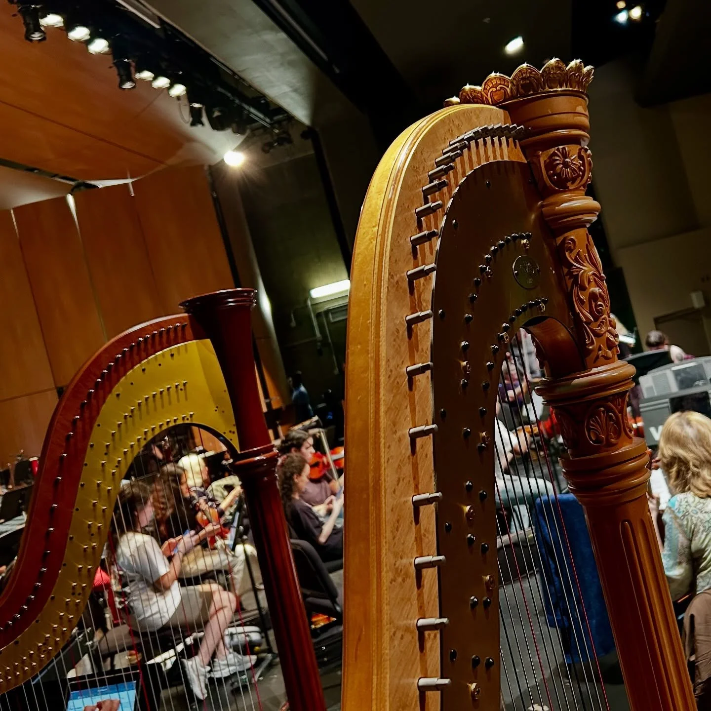 this is 200% more harpists than usual !

me and @littleliska will be joining @schwabacademy for holst&rsquo;s planets this saturday. it&rsquo;s pay what you can, come thruuu 🪐