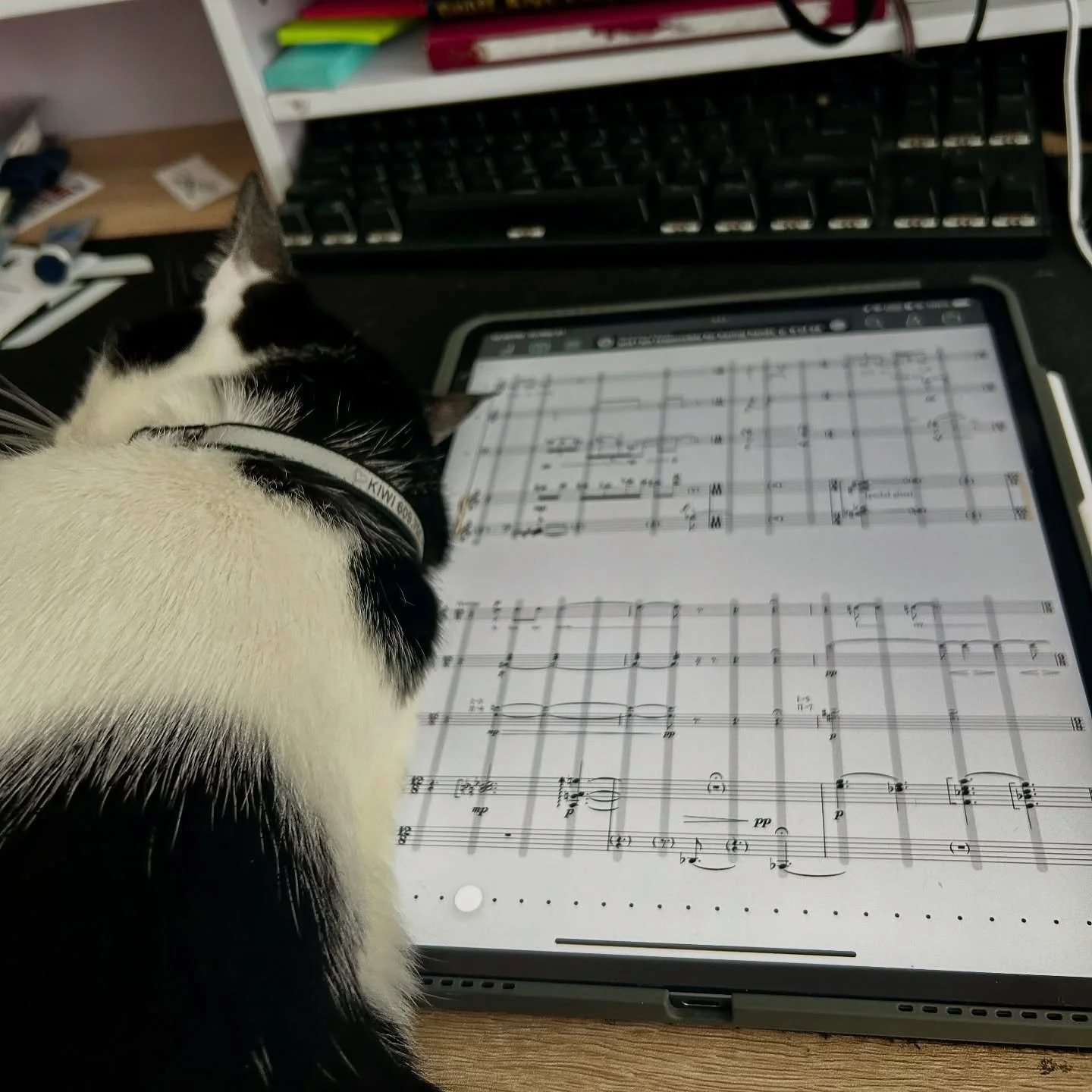 he&rsquo;s helping