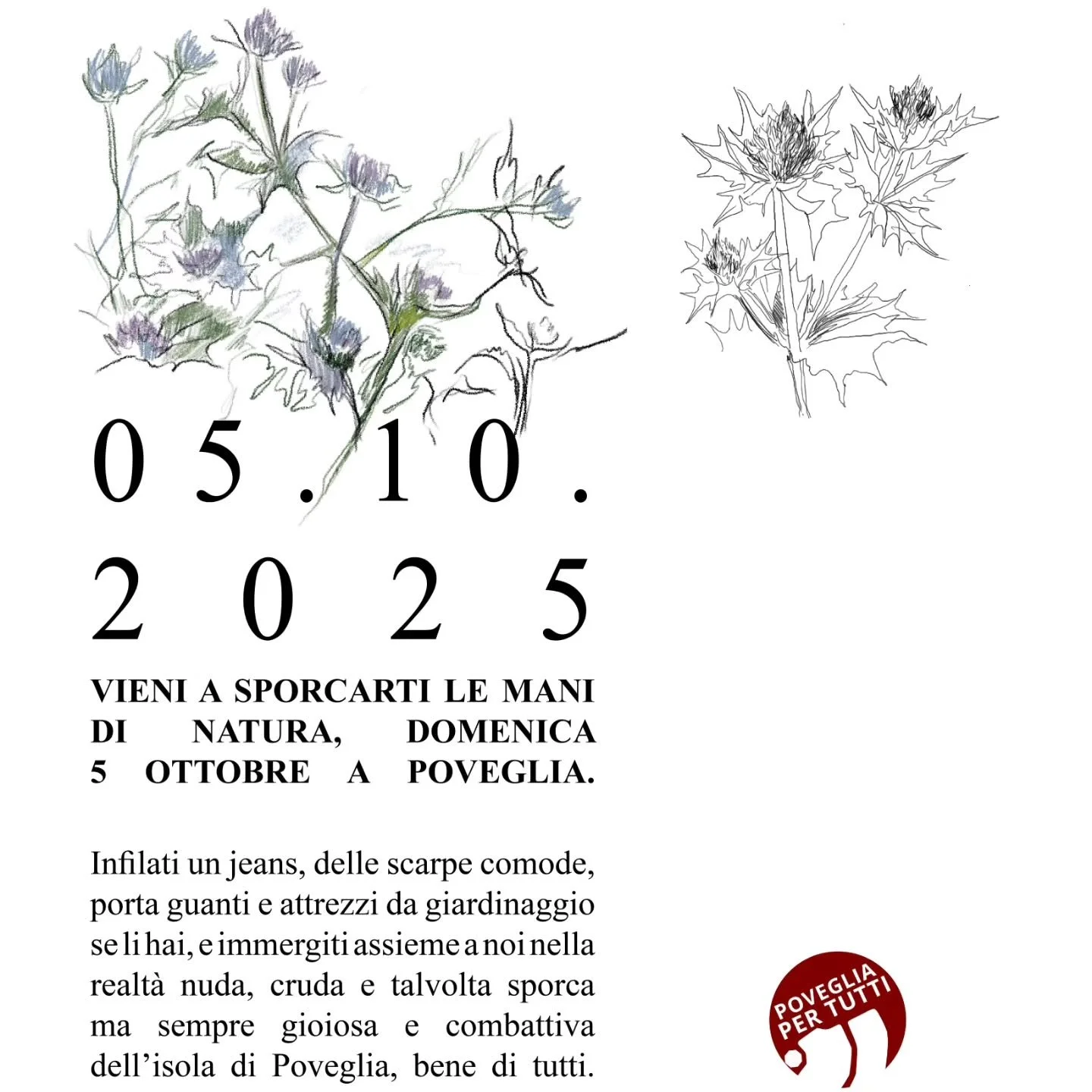 👋
Domenica 5 ottobre ci vediamo tuttə a Poveglia!
👉 &Egrave; il primo appuntamento ufficiale dopo la concessione 💥🥹.

🌿 Passiamo una domenica in mezzo alla natura, guardando Venezia da una prospettiva diversa! E sar&agrave; l&rsquo;occasione per