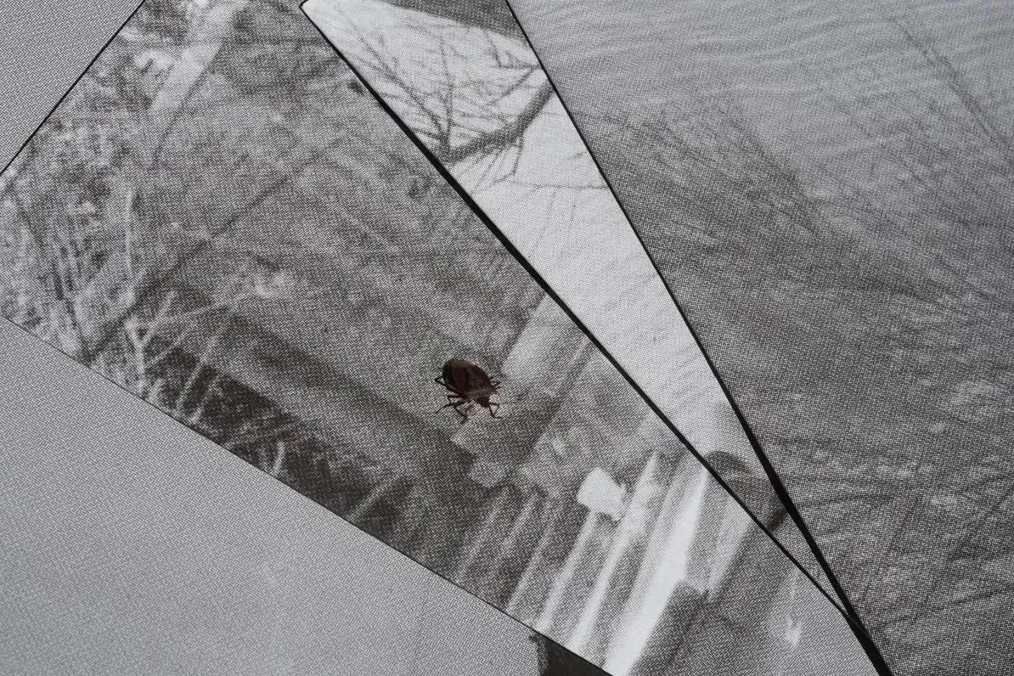 ❓Cos'&egrave; Poveglia per tutti?

📸 Ecco cosa ci ha visto @didivola che ha partecipato agli eventi dell'ultimo anno.

Con le foto scattate ha composto 4 fotozine ❤️ che troverai sabato 29 novembre a Poveglia in occasione della giornata dedicata all