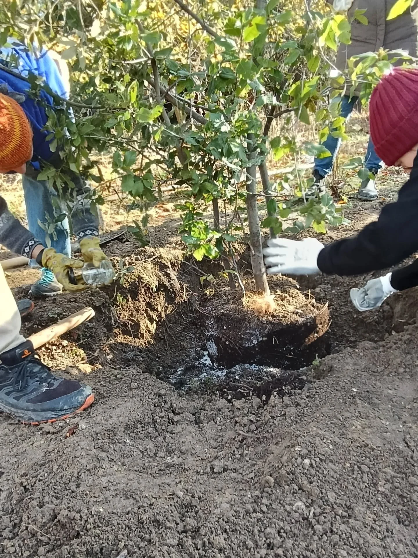 Dopo un anno straordinario in cui abbiamo finalmente ottenuto la concessione per la gestione dell'isola nord di Poveglia, siamo pronti e pieni di entusiasmo per il 2026!

Negli ultimi mesi la nostra comunit&agrave; &egrave; cresciuta molto: un benven
