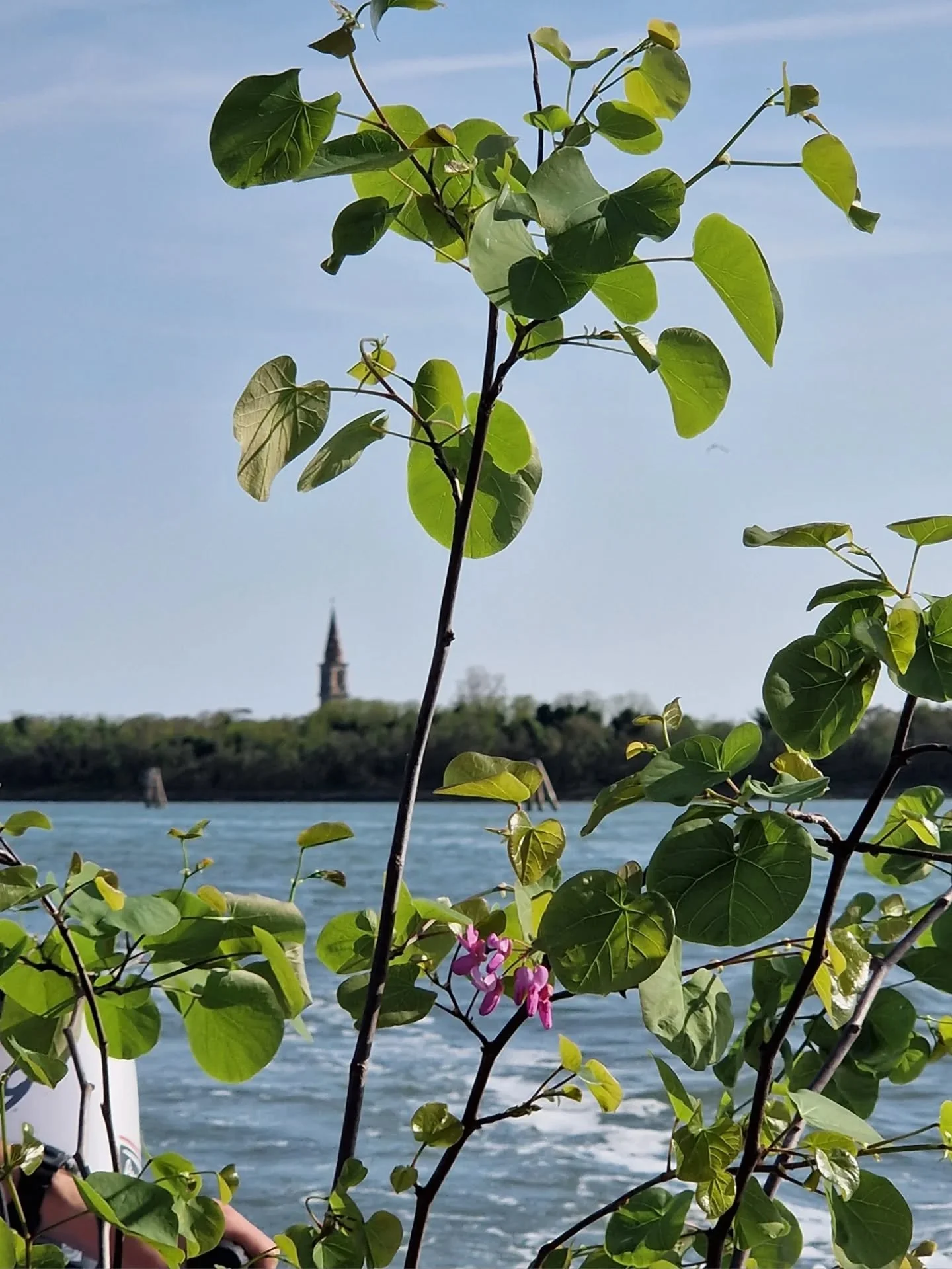 La settimana scorsa, la prima tappa primaverile a Poveglia, che ha visto ospite speciale @albertotosofei, si &eacute; conclusa con grande successo e tanti grandi sorrisi

🌸La giornata del 18 aprile &eacute; iniziata rimboccandosi le maniche e prende