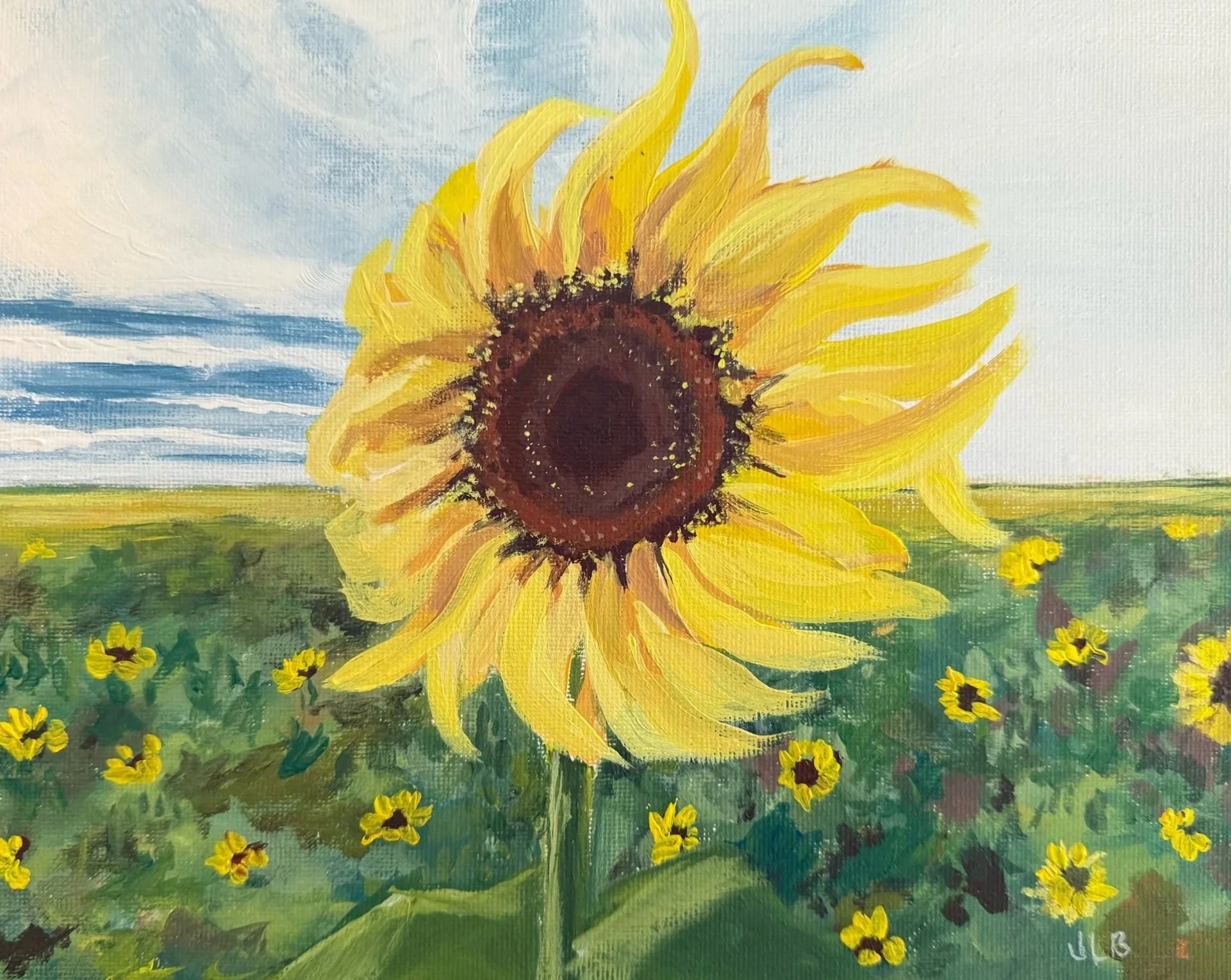 Sunflower