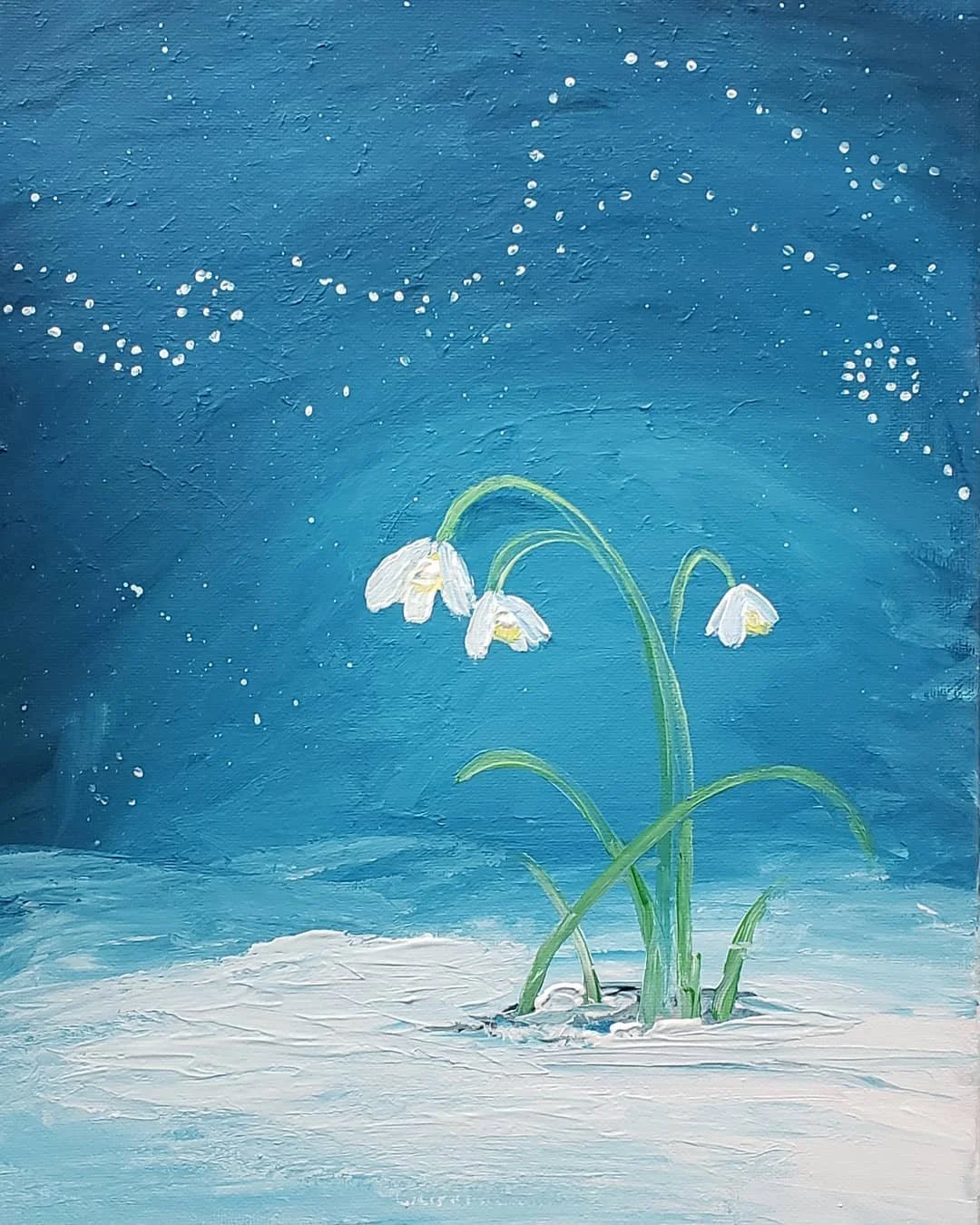 Snow Drops