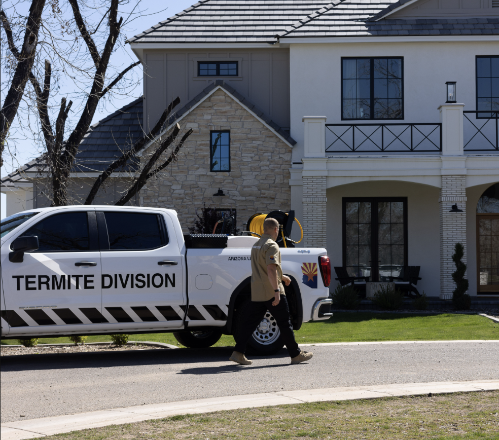 How a FREE Termite Inspection Works (and Why Every Homeowner Should Get One)