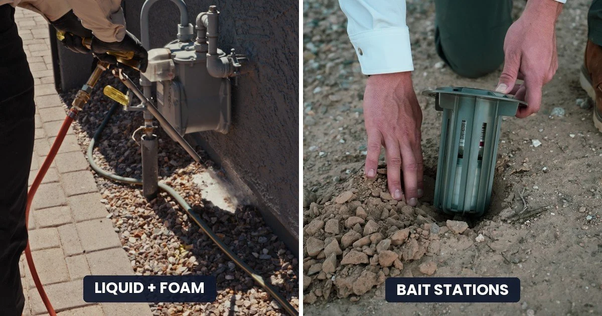 Liquid vs. Bait Stations: Which Termite Treatment Is Best in Arizona? 