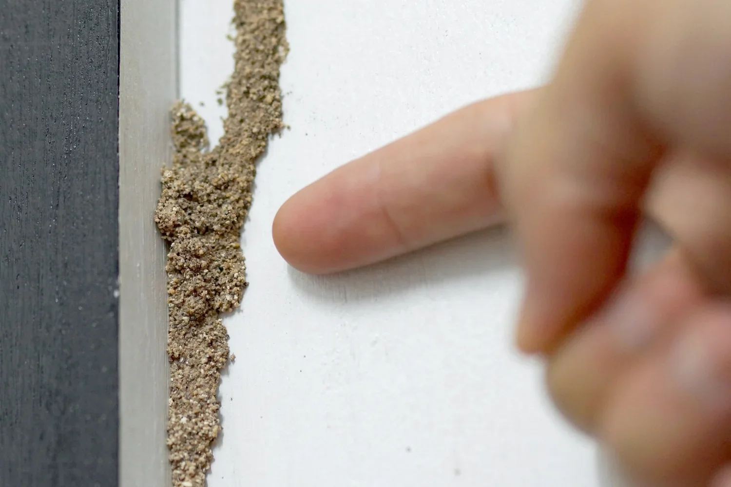 Termites Corrective.webp