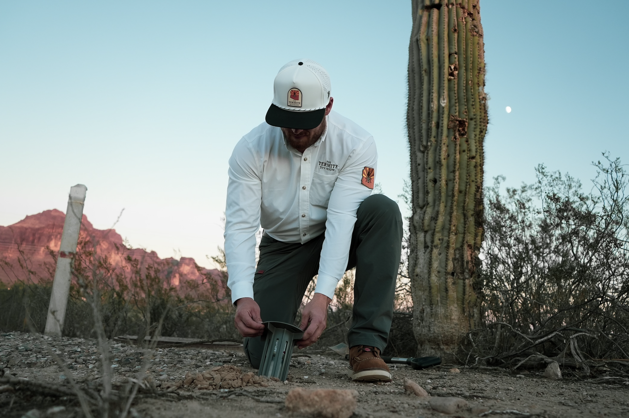 DIY Termite Treatment vs. Professional Treatment: What Actually Works?