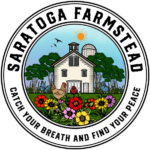 sf-circular-logo-scaled-1-150x150.png