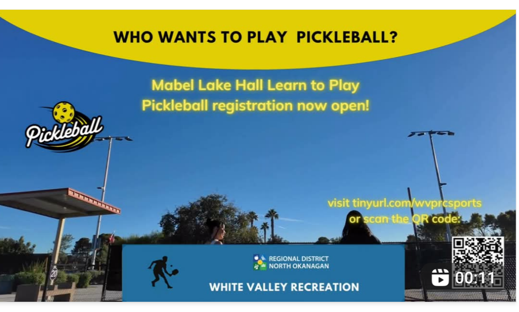 Pickleball Learn to Play