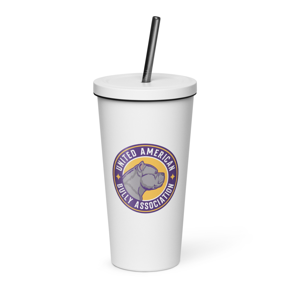 Insulated Tumbler with Straw