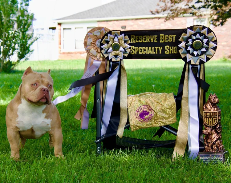 Reserve Best in Specialty
