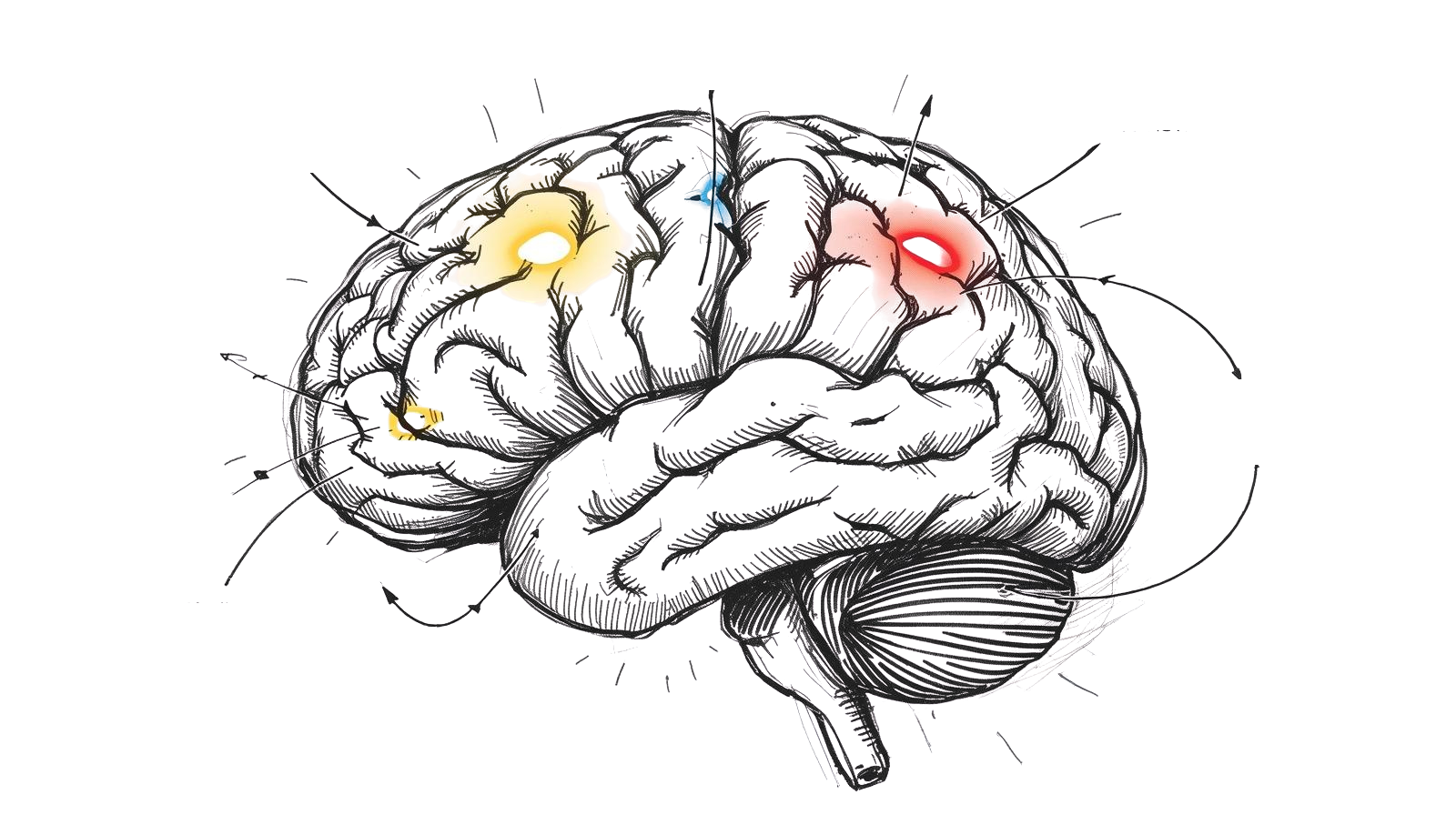 scott-mcelroy-world-class-executive-coach-real-estate-tech-finance-4