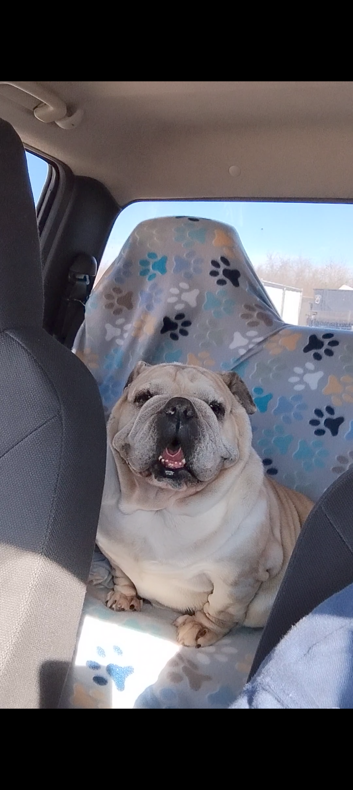 winnie.png