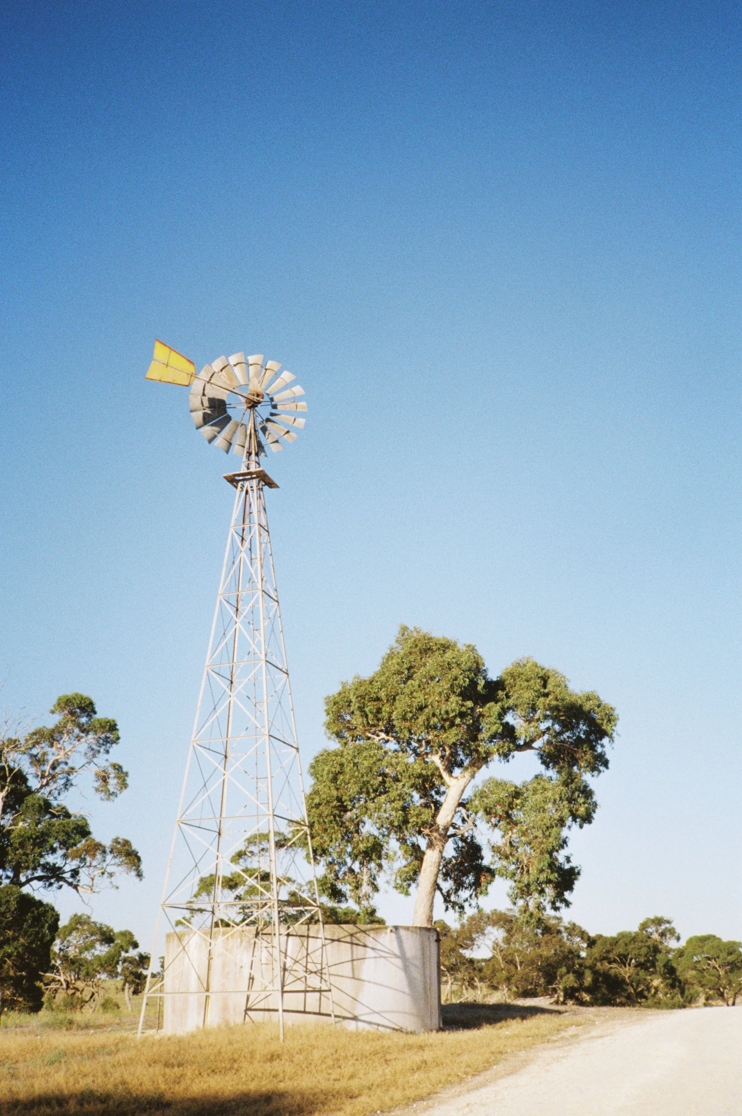 A rural windmill next to a large tree under a clear blue sky.