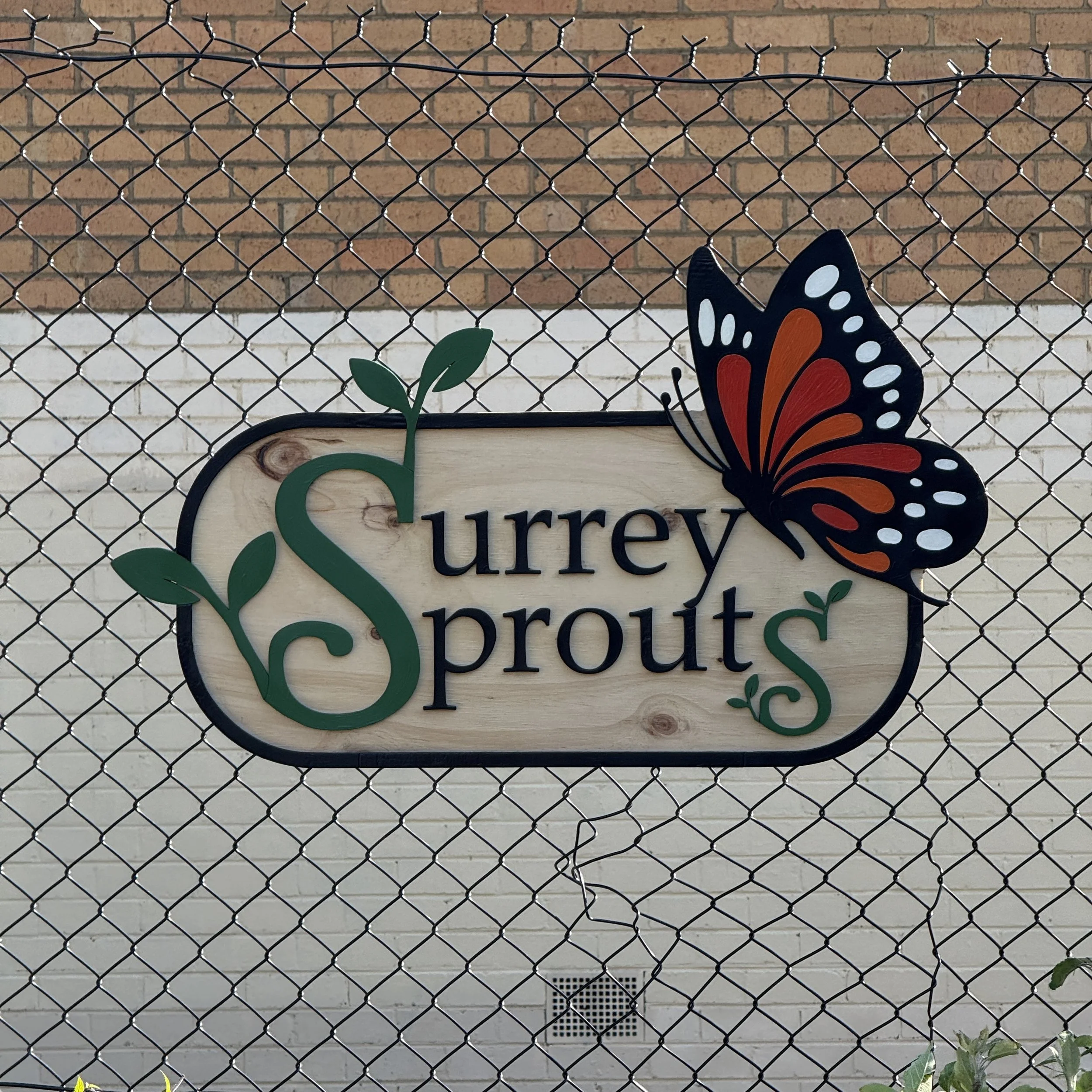 surrey sprouts finished product.jpg