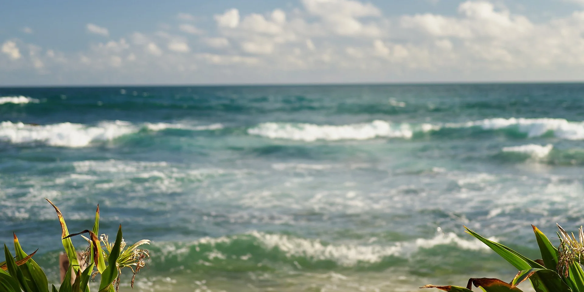 Header slider_05_background.jpg