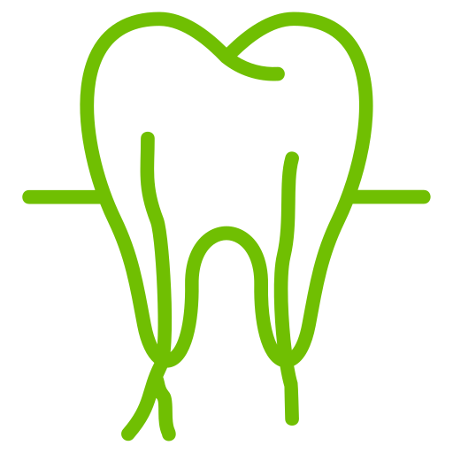 Arbutus Dental Clinic - Root Canals