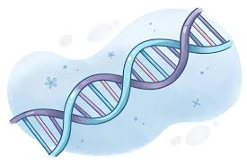 Illustration of a DNA double helix structure with a light blue background.