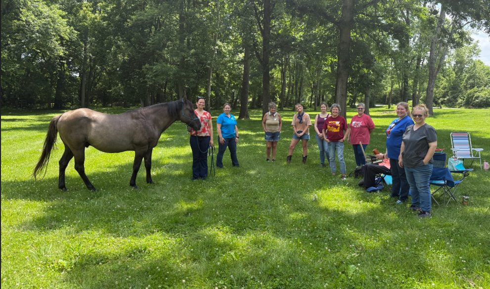 Graceful Transitions