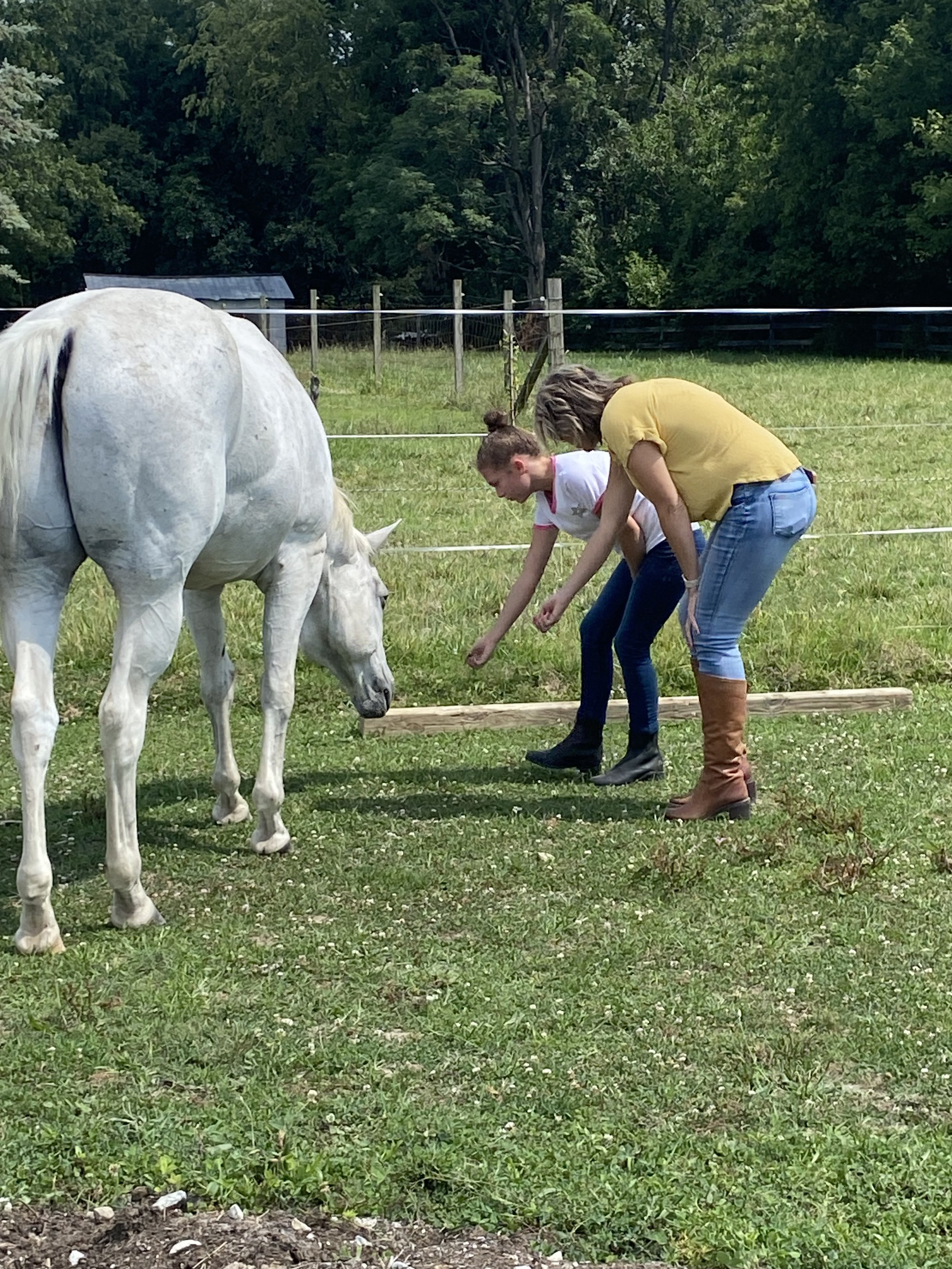 Hearts & Hooves Family Program