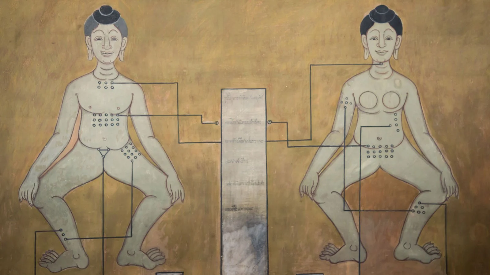 Traditional Thai Medicine, Healing at the Crossroads of Three Traditions