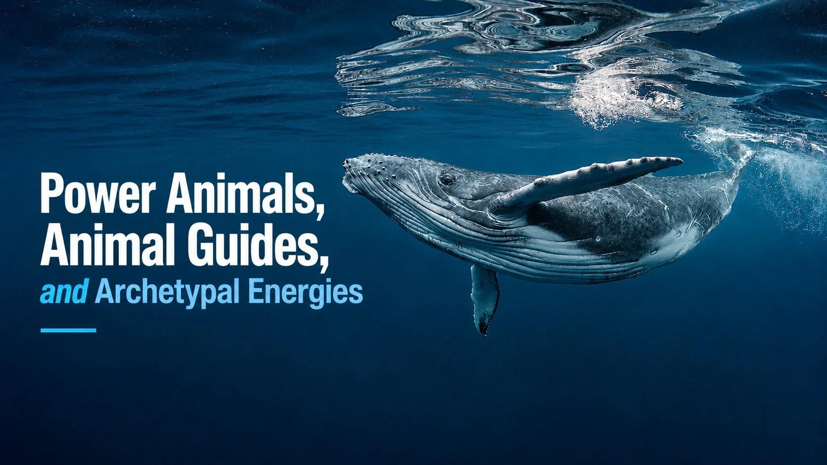 Power Animals, Animal Guides, and Archetypal Energies