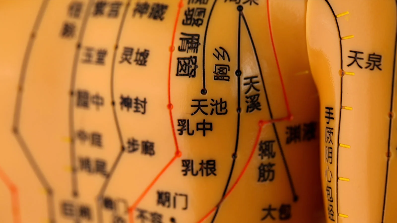 The Living Rivers of Chinese Medicine and the Classical Tradition
