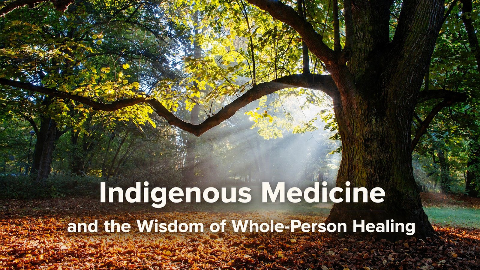 Indigenous Medicine and the Wisdom of Whole-Person Healing