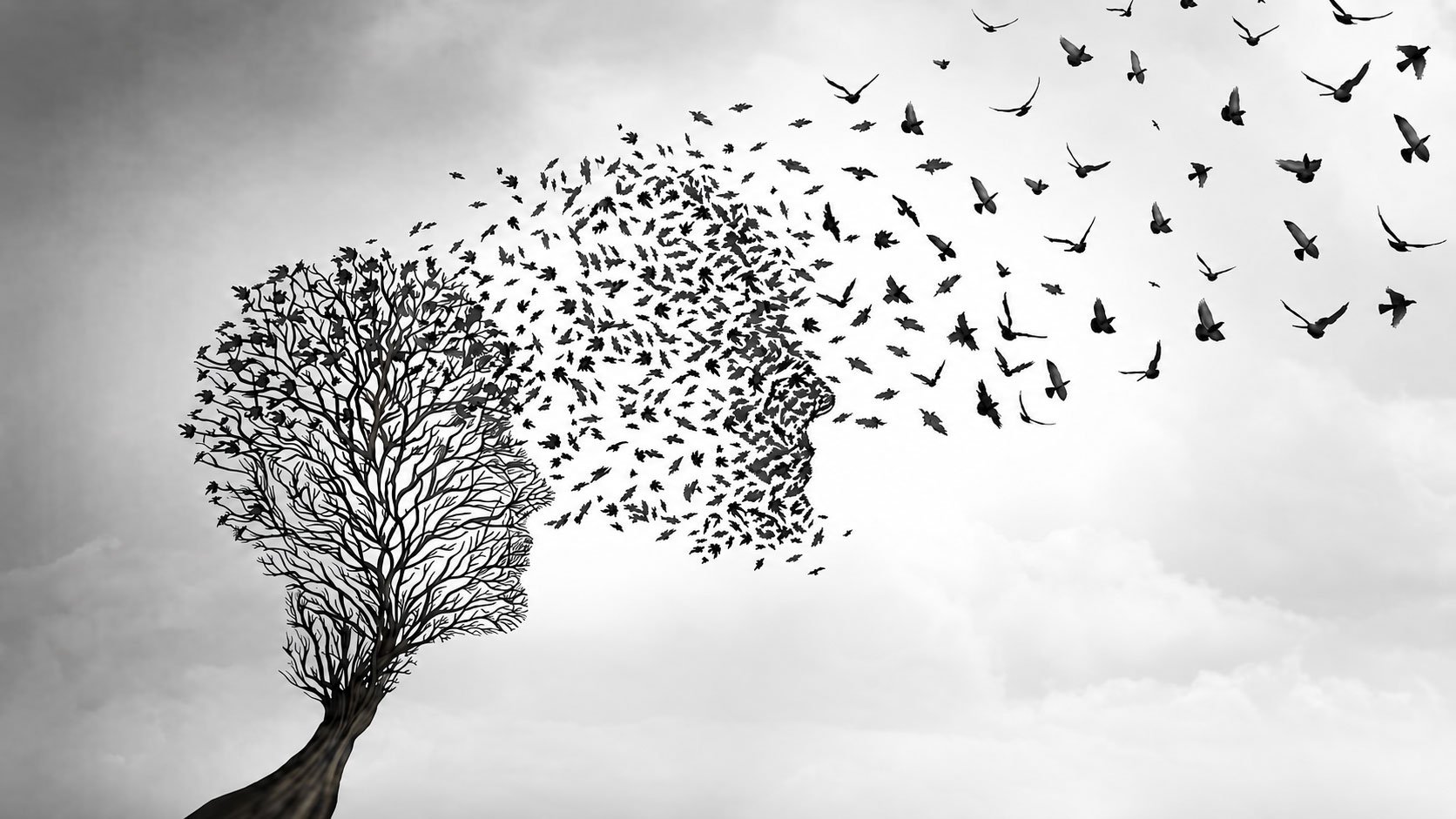Reincarnation and the Soul's Journey Across Traditions
