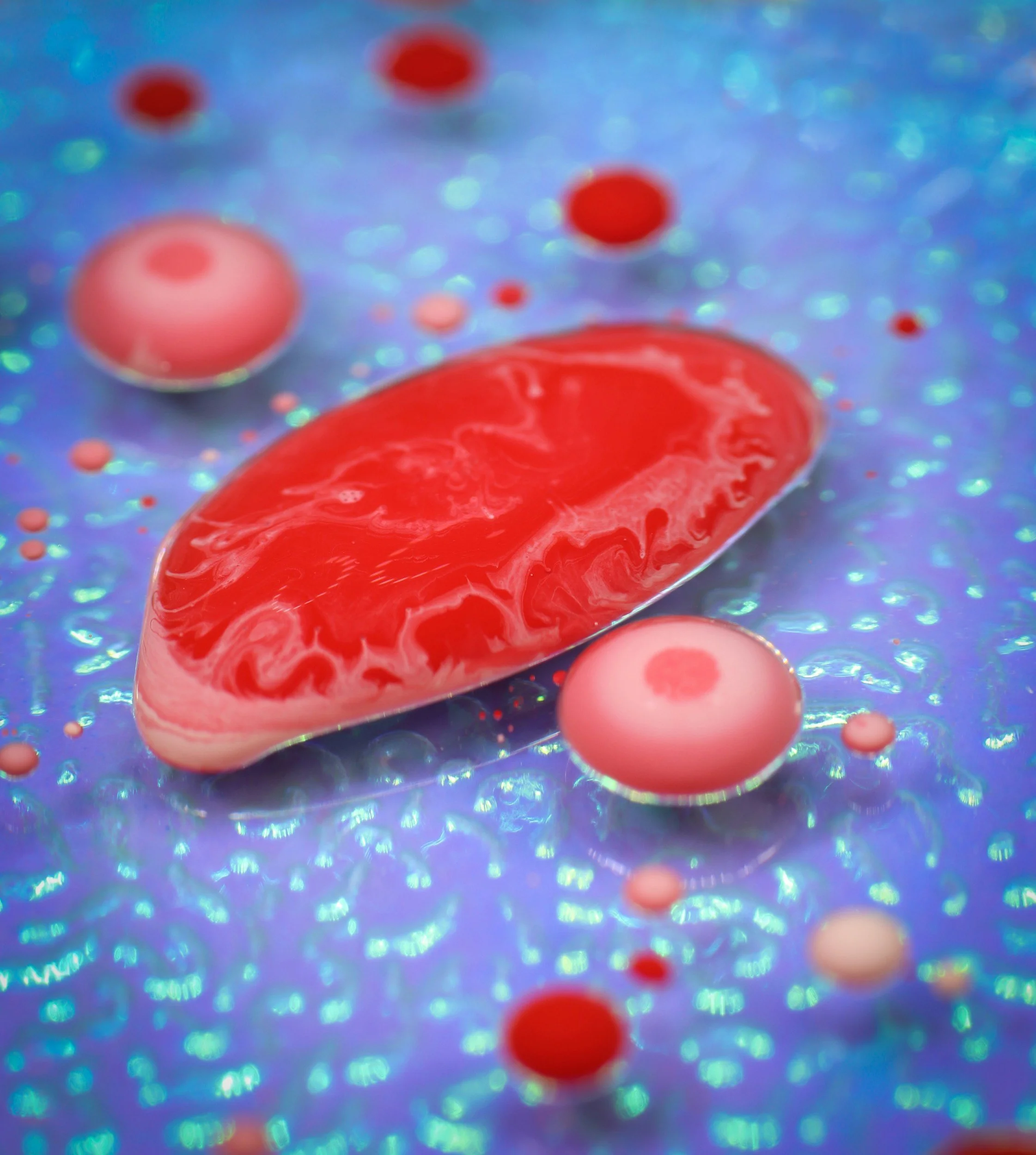 Mitochondria: The Cellular Engines Behind Energy, Recovery, and Healthy Aging