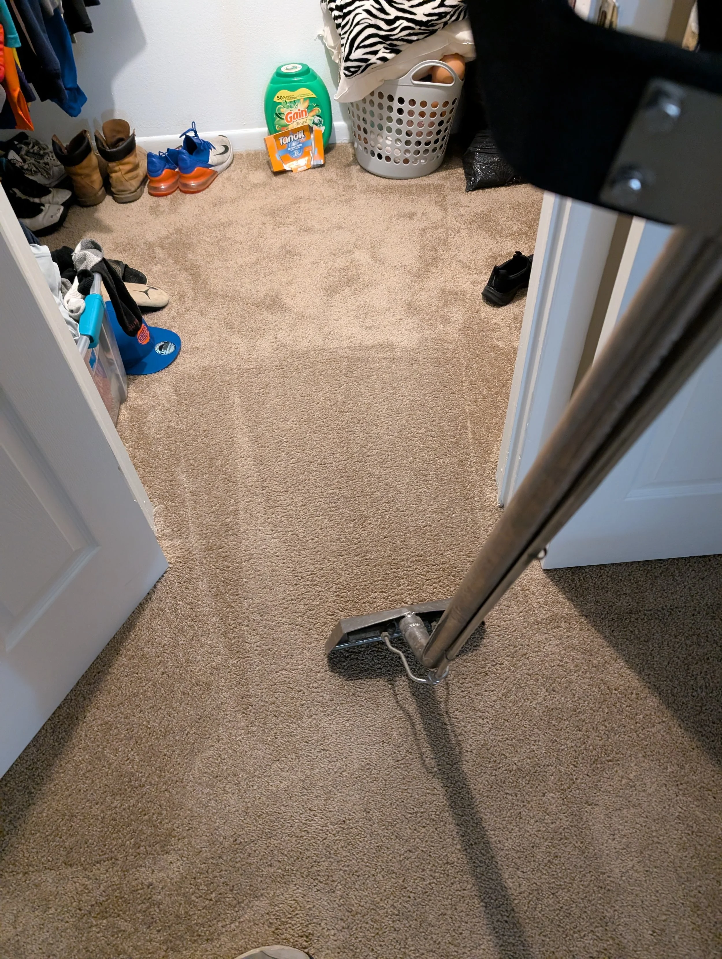 Basic carpet extractions. We do that too.