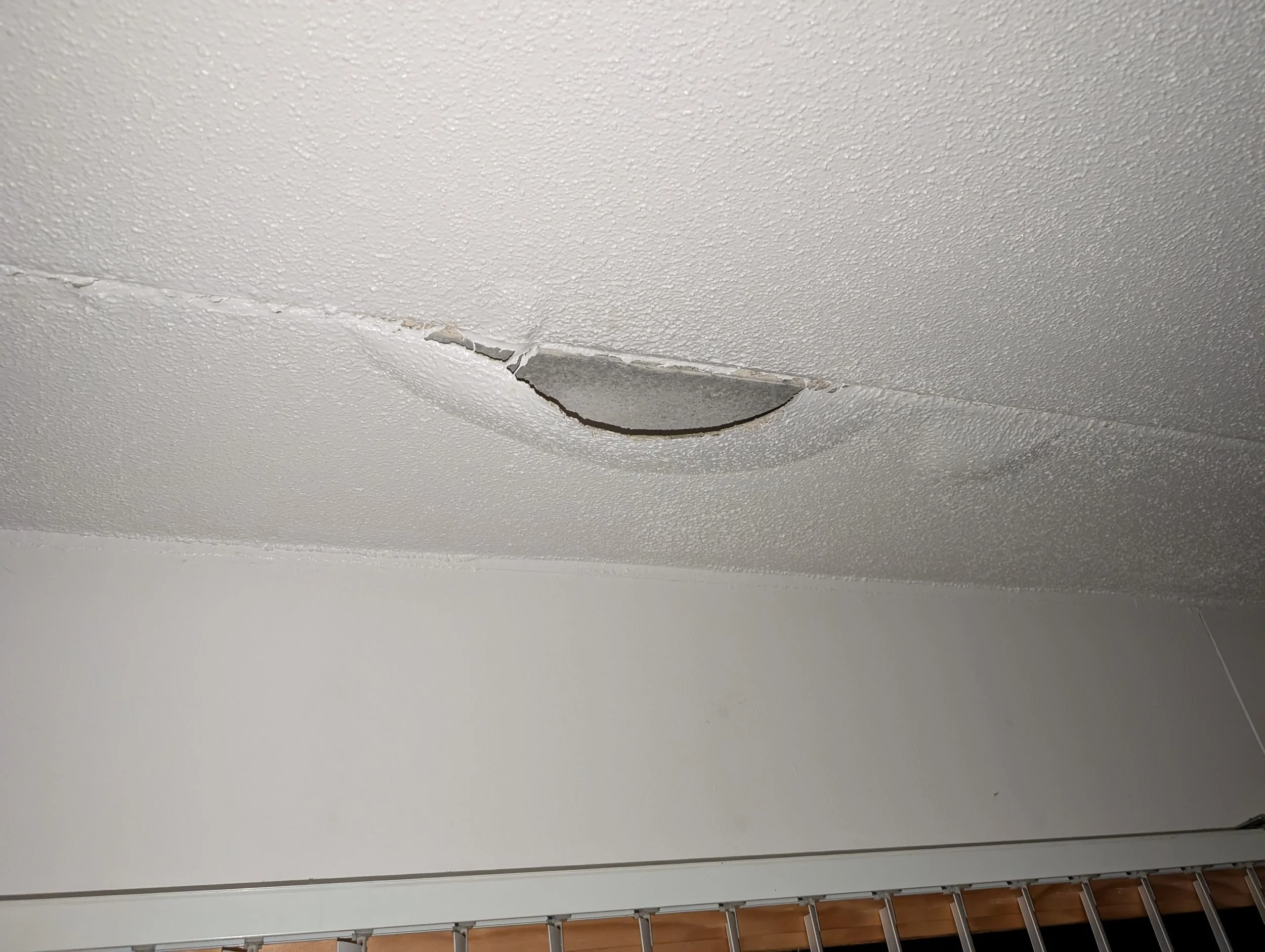 Moisture bubbles building up under paint. Flood cleanup.