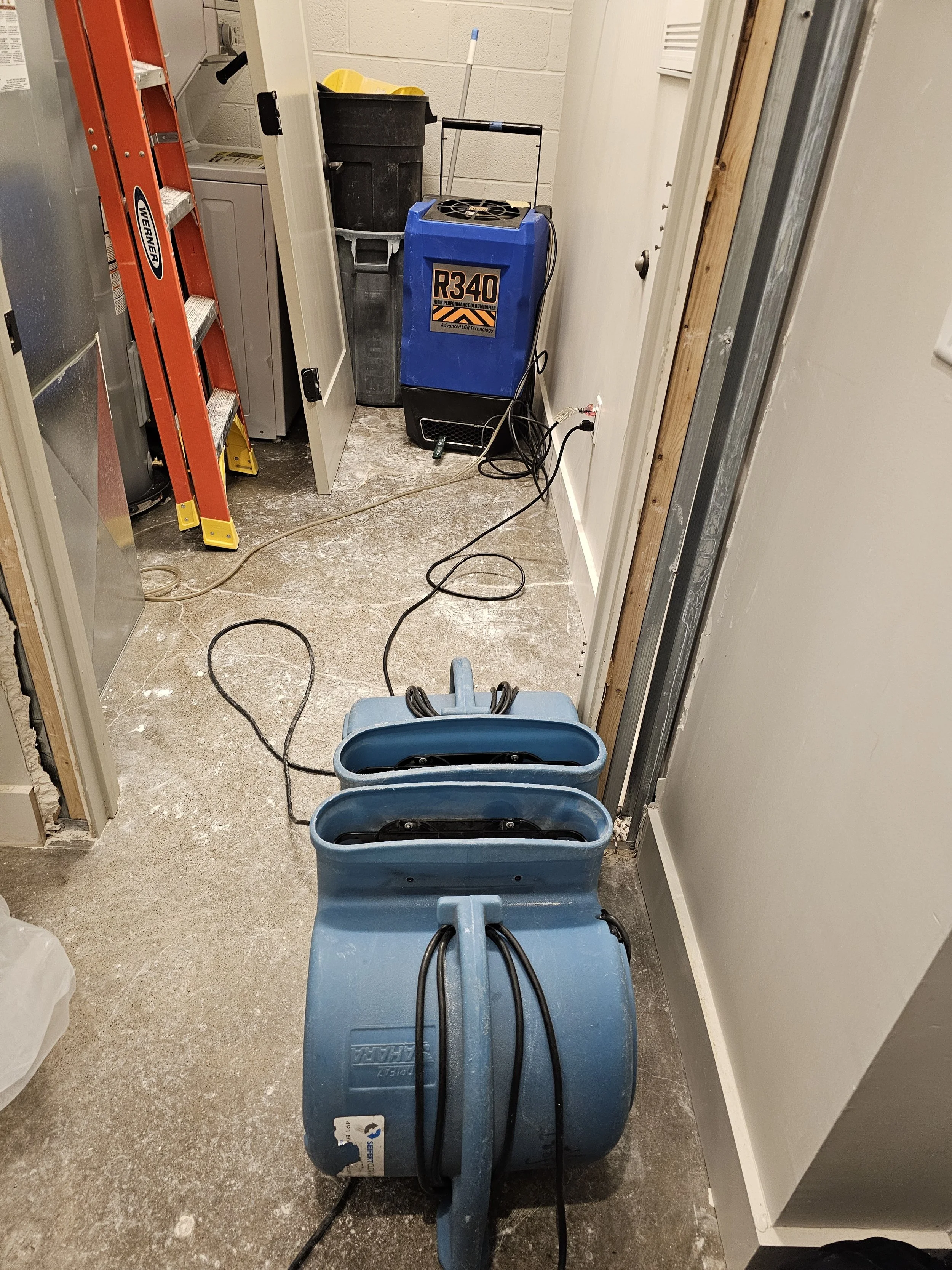Using a dehumidifier and some air movers to dry a roof deck. Remediation. Flood cleanup.