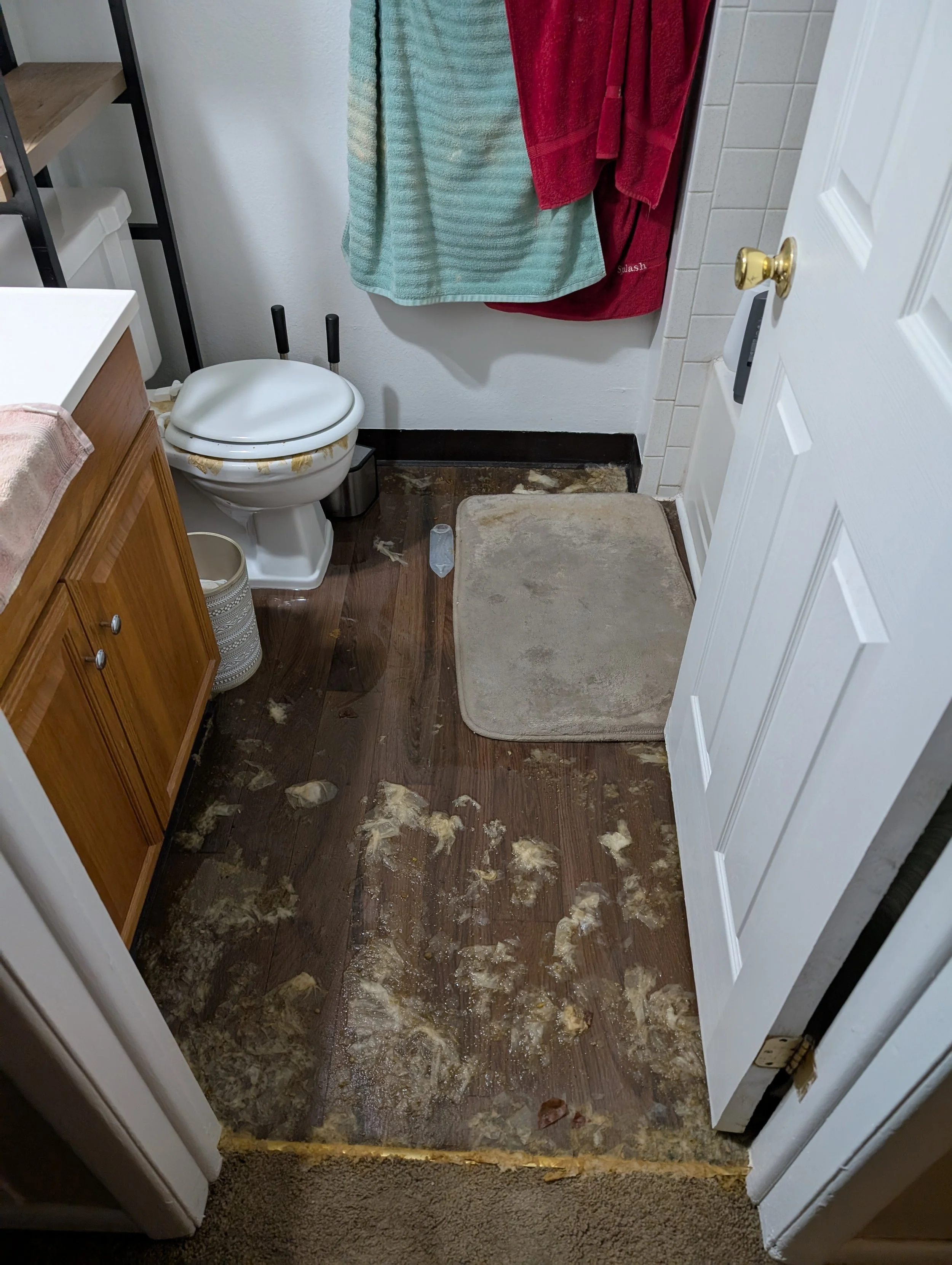 Toilet backup. Flood cleanup. Sewer cleanup. Sure a mop would work. But our truck sucks all this up, then generates 240° water at 600 PSI to clean, and we follow that with antimicrobial.