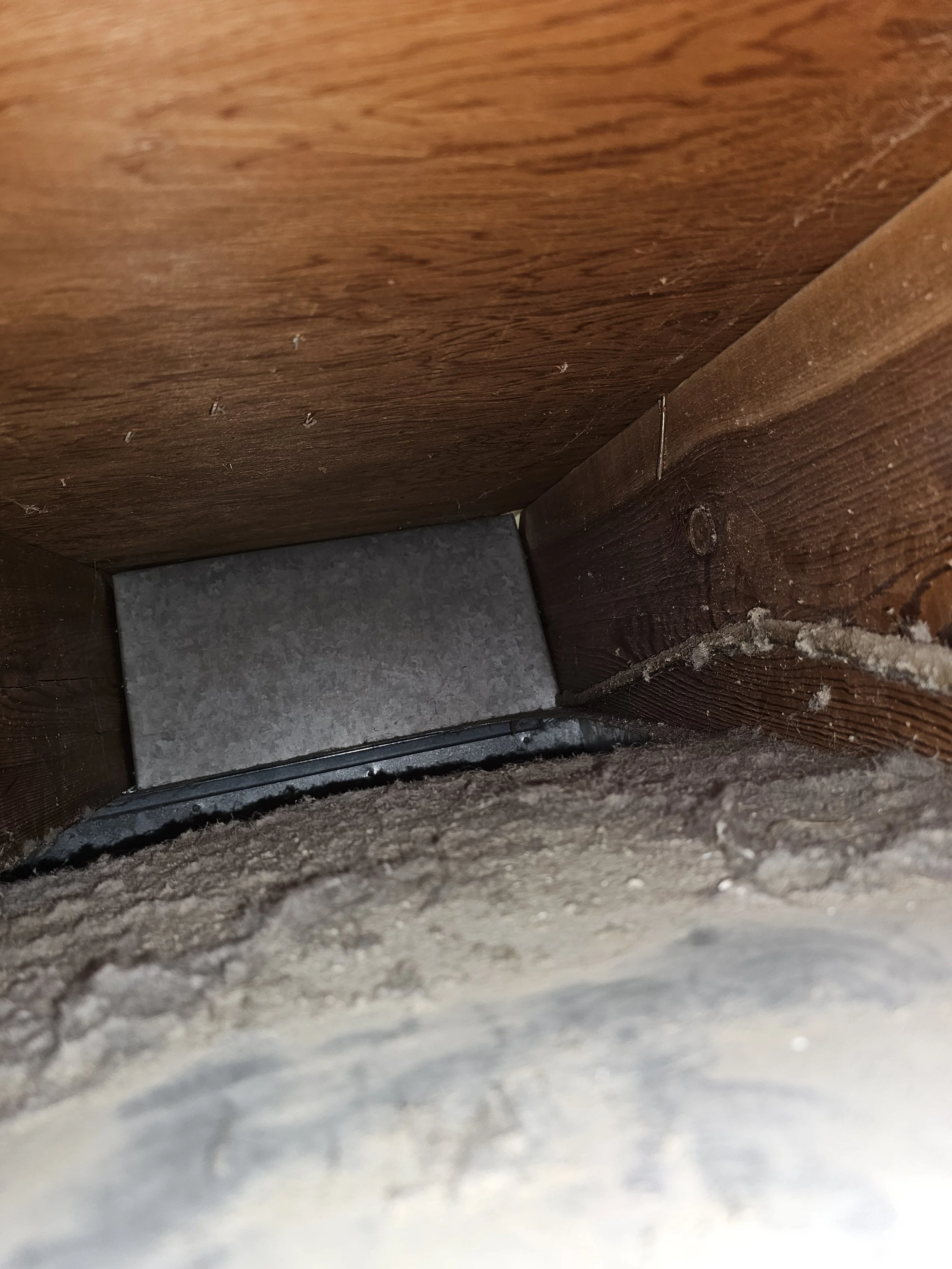 Dust and dander in a residential structural return duct. Air duct cleaning.