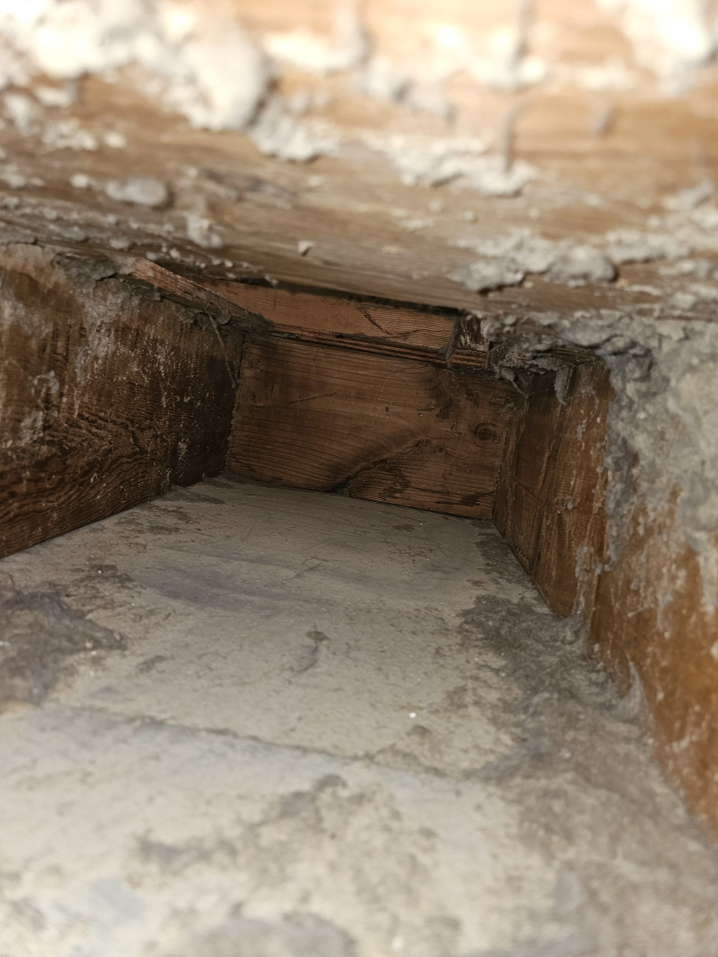Dust, dander, webs, hair... Air duct cleaning.