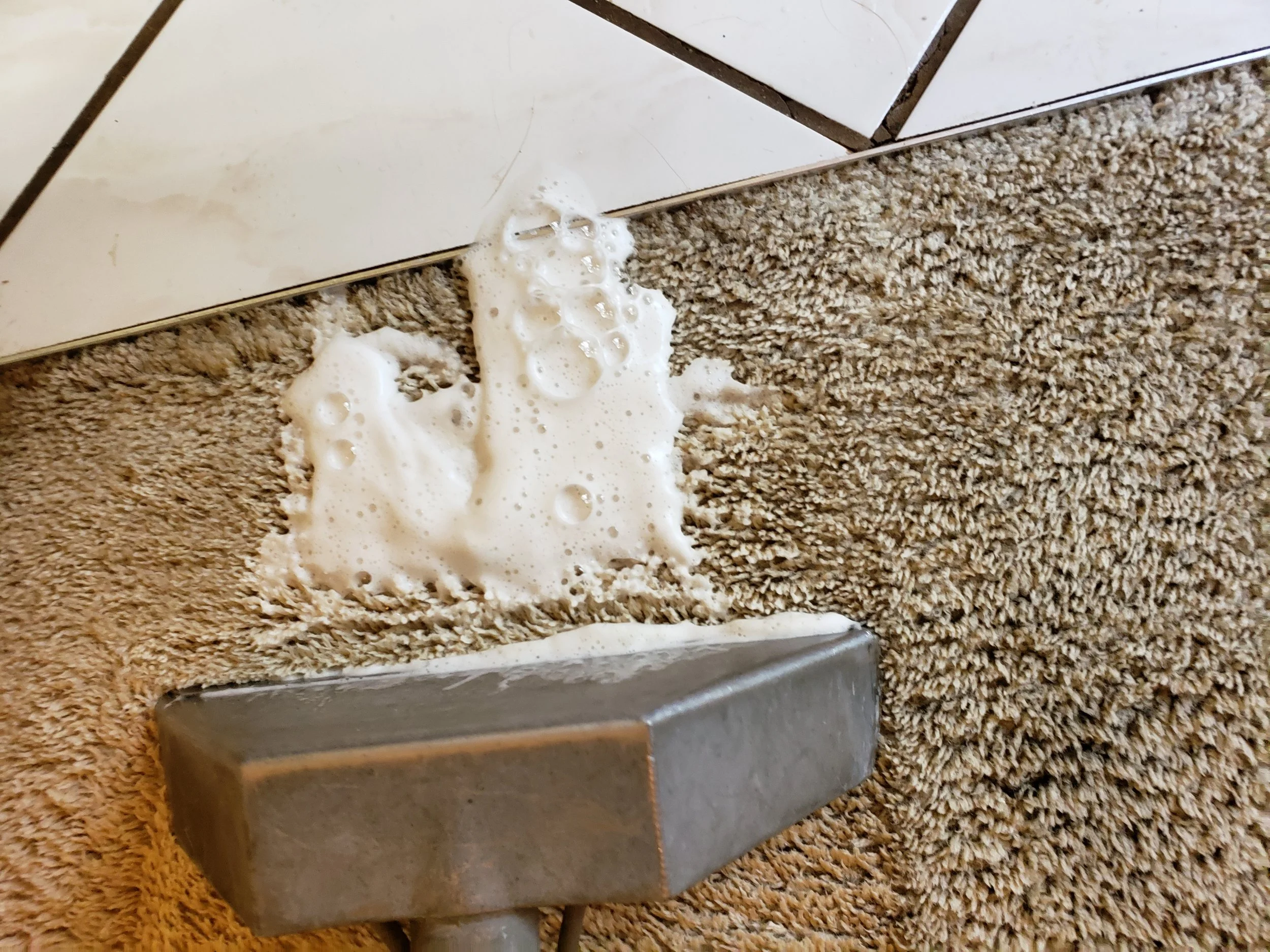 Carpet cleaning. Removing soap after a botched DIY carpet cleaning.