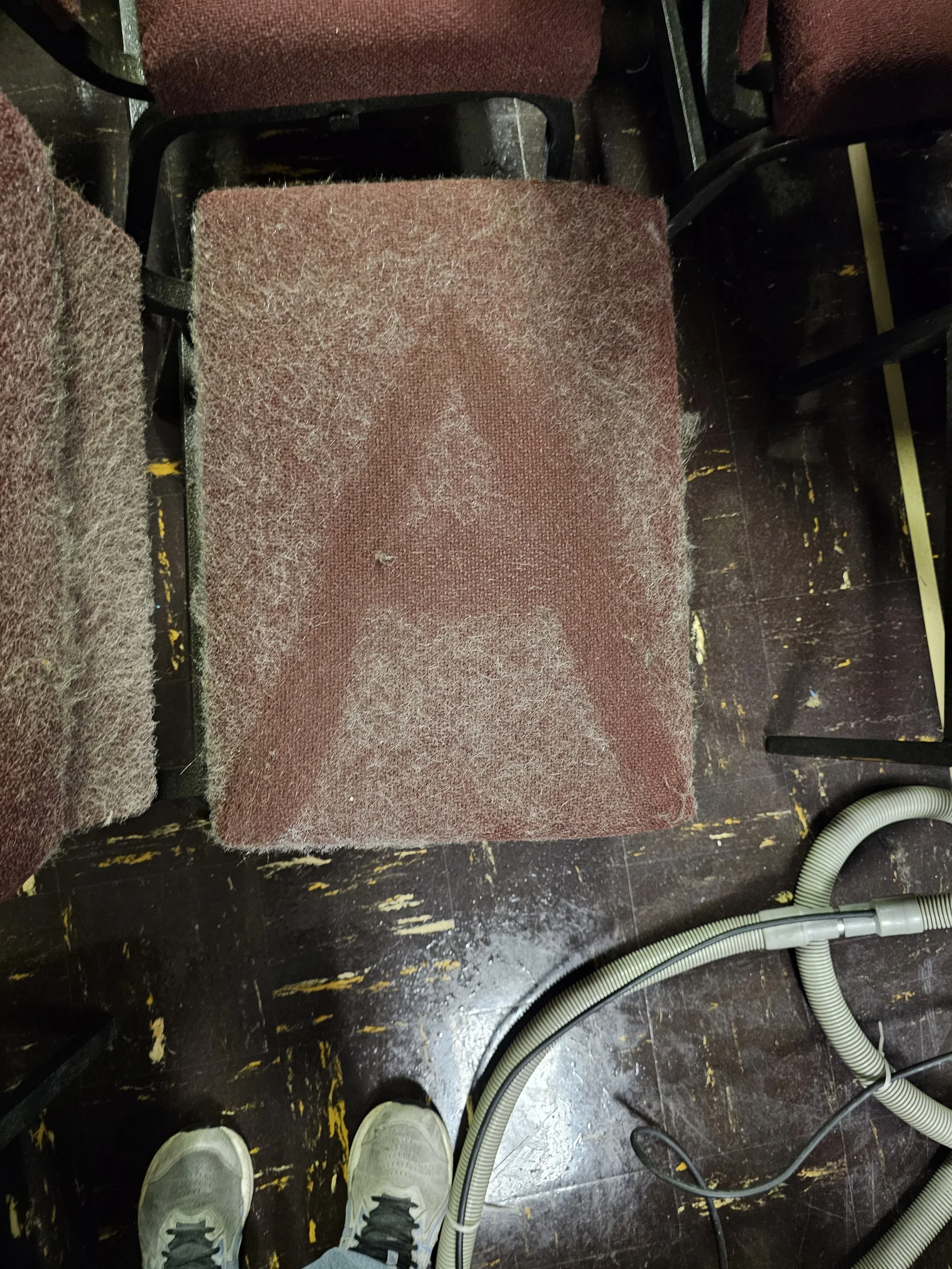 Gross. But the end result is always worth it. Furniture cleaning.