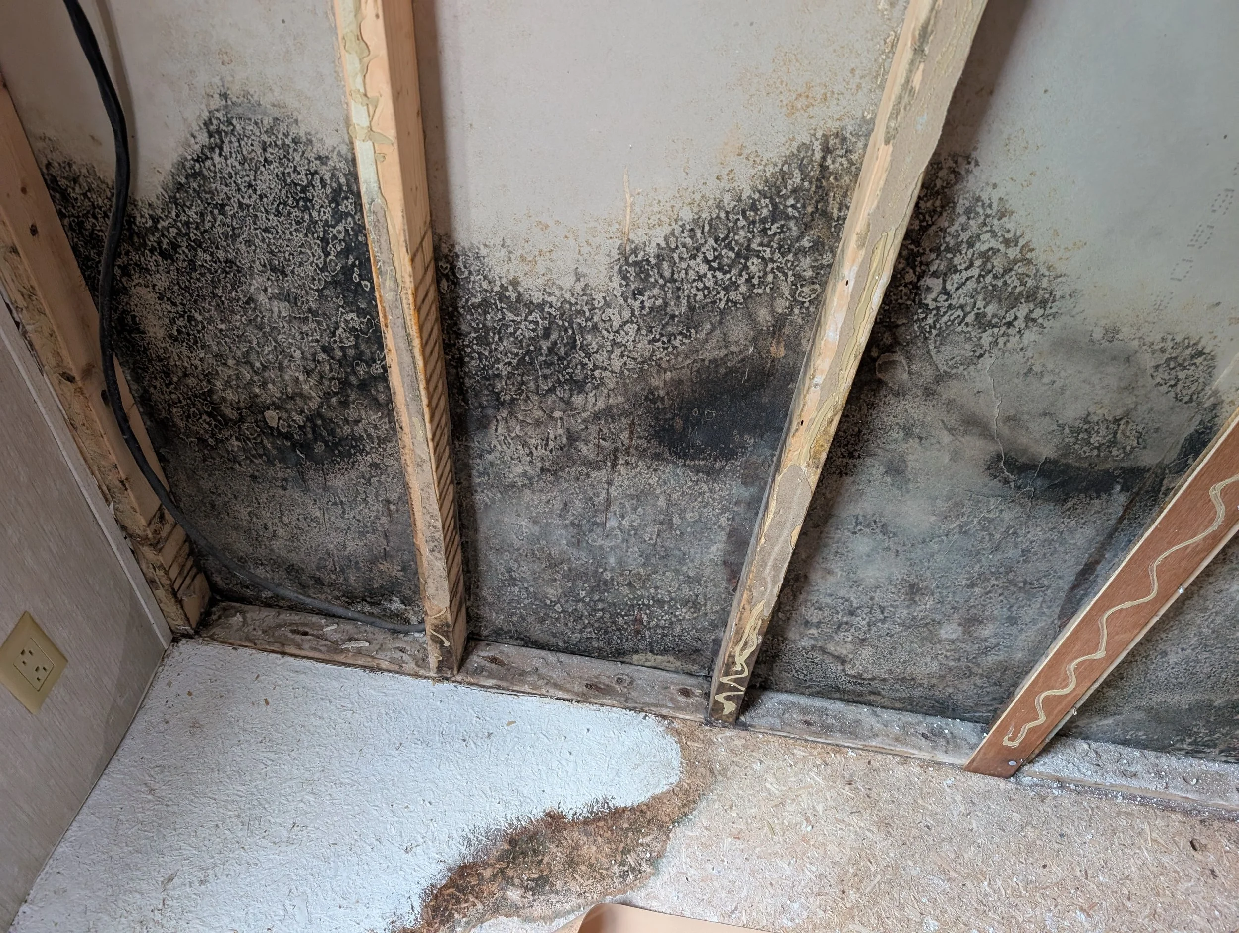 Found some potential growth inside of a wall. Next step, check materials for moisture, measure temperature and relative humidity, look for water leaks. Mold testing. Mold assessment. Mold report.