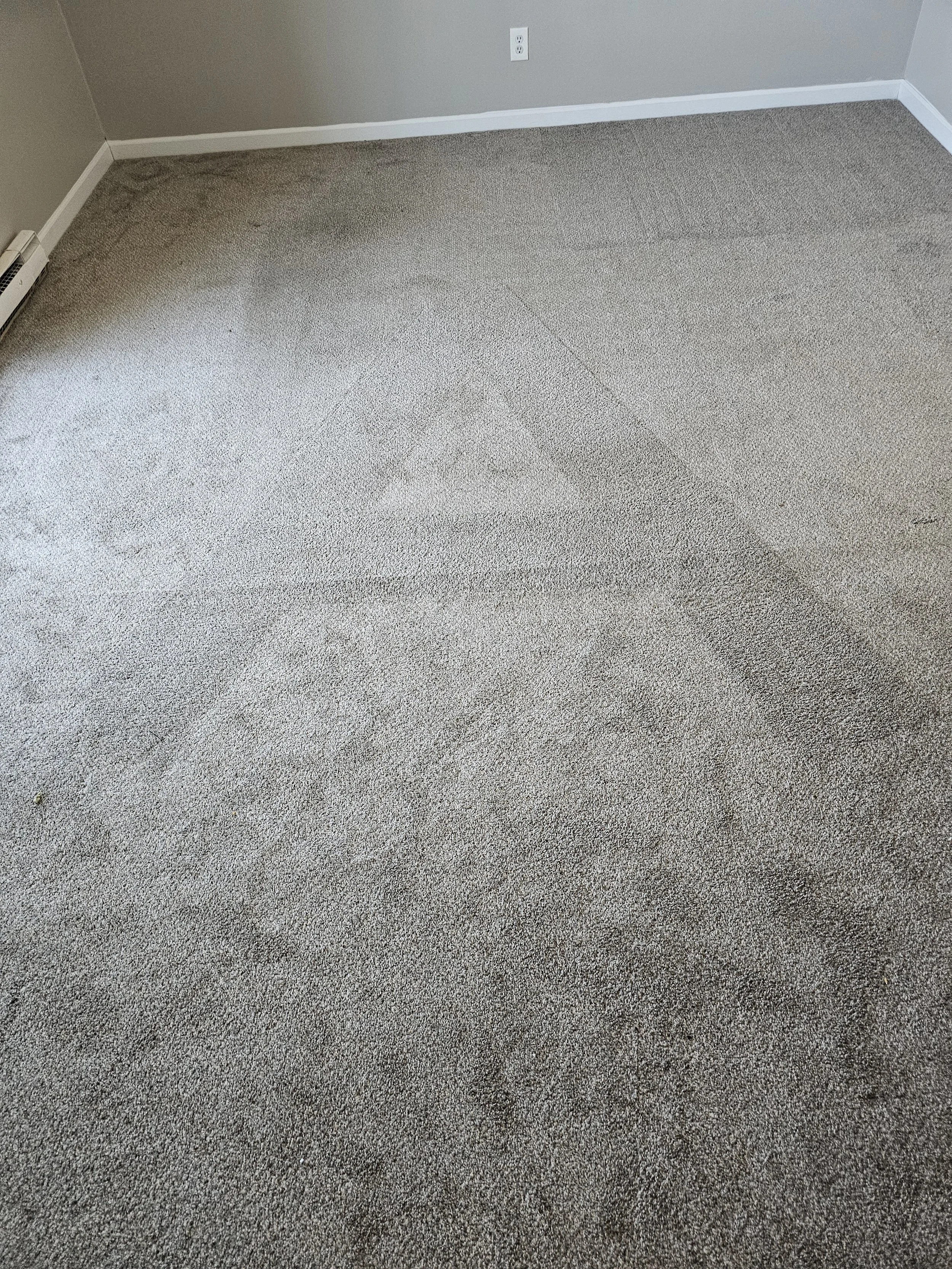 Sometimes you gotta sign your work... carpet cleaning